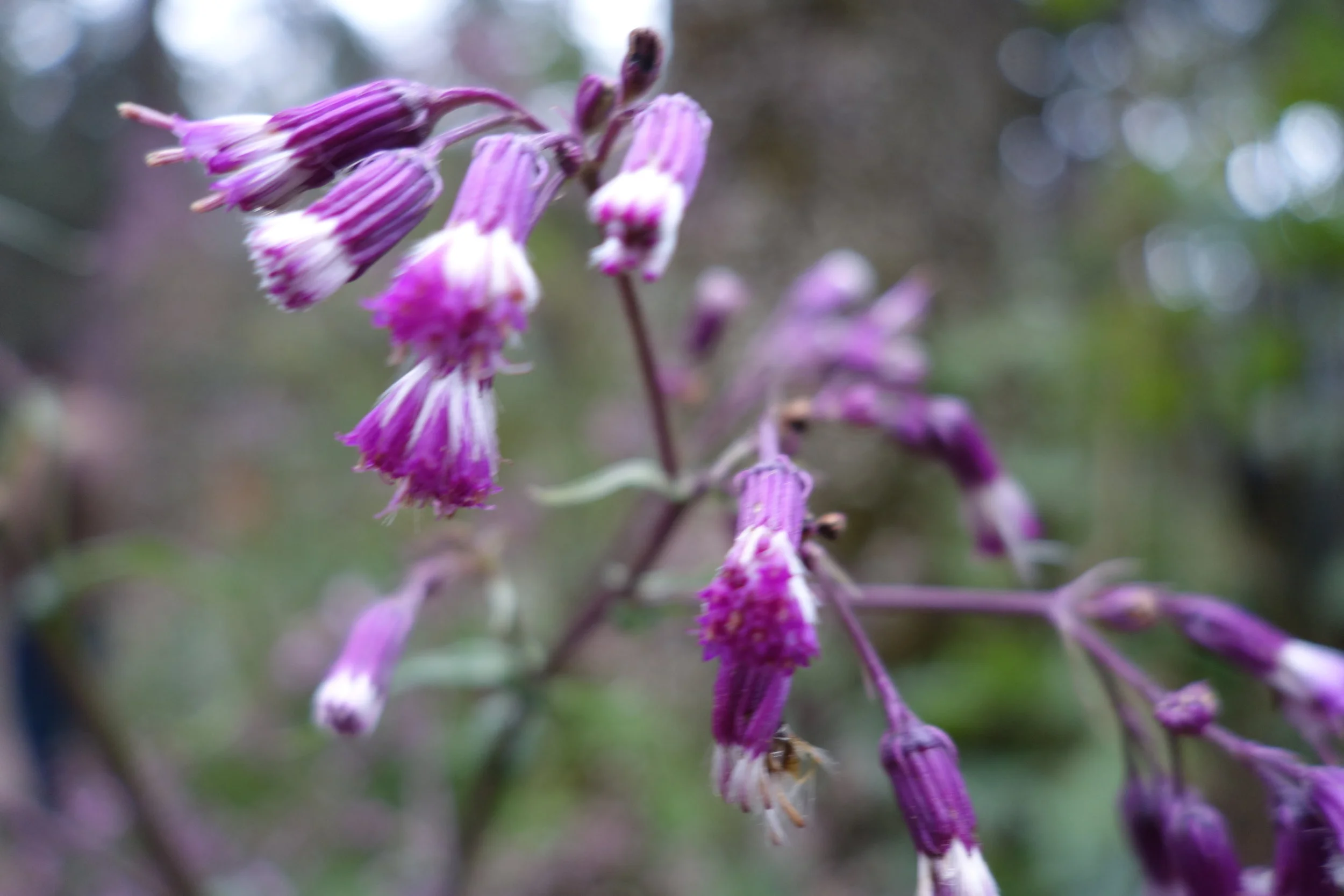 Scholarship Application Now OPEN!!