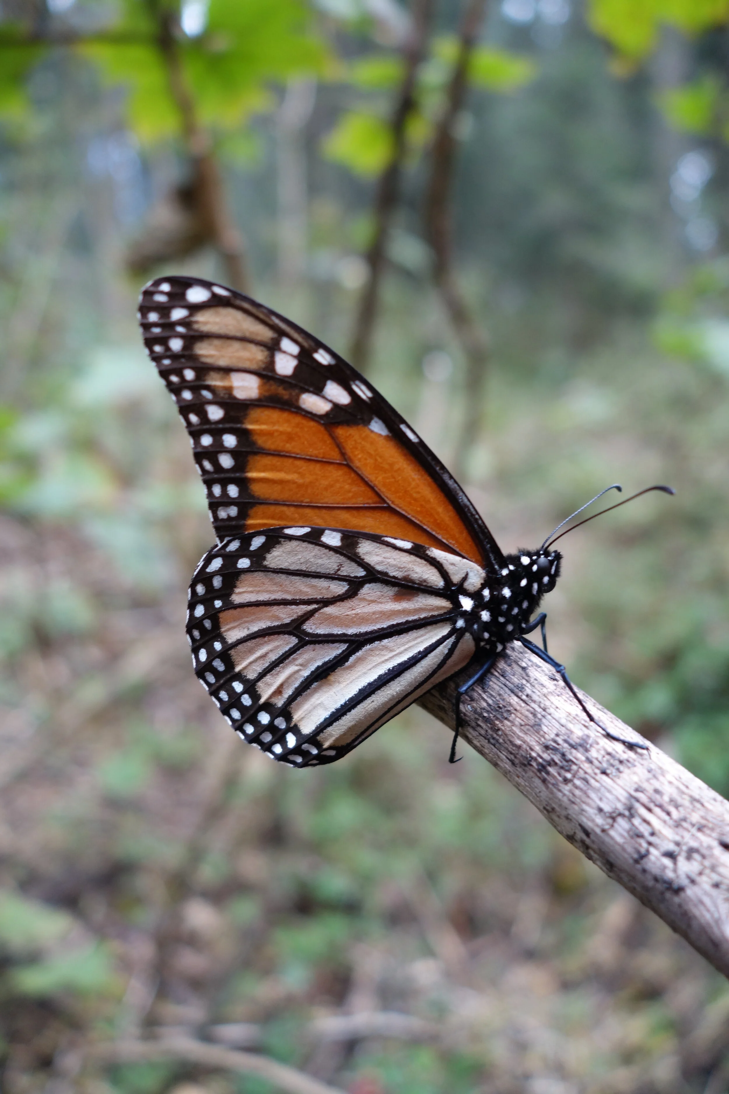 2020-2021 Scholarship Application Now OPEN!!