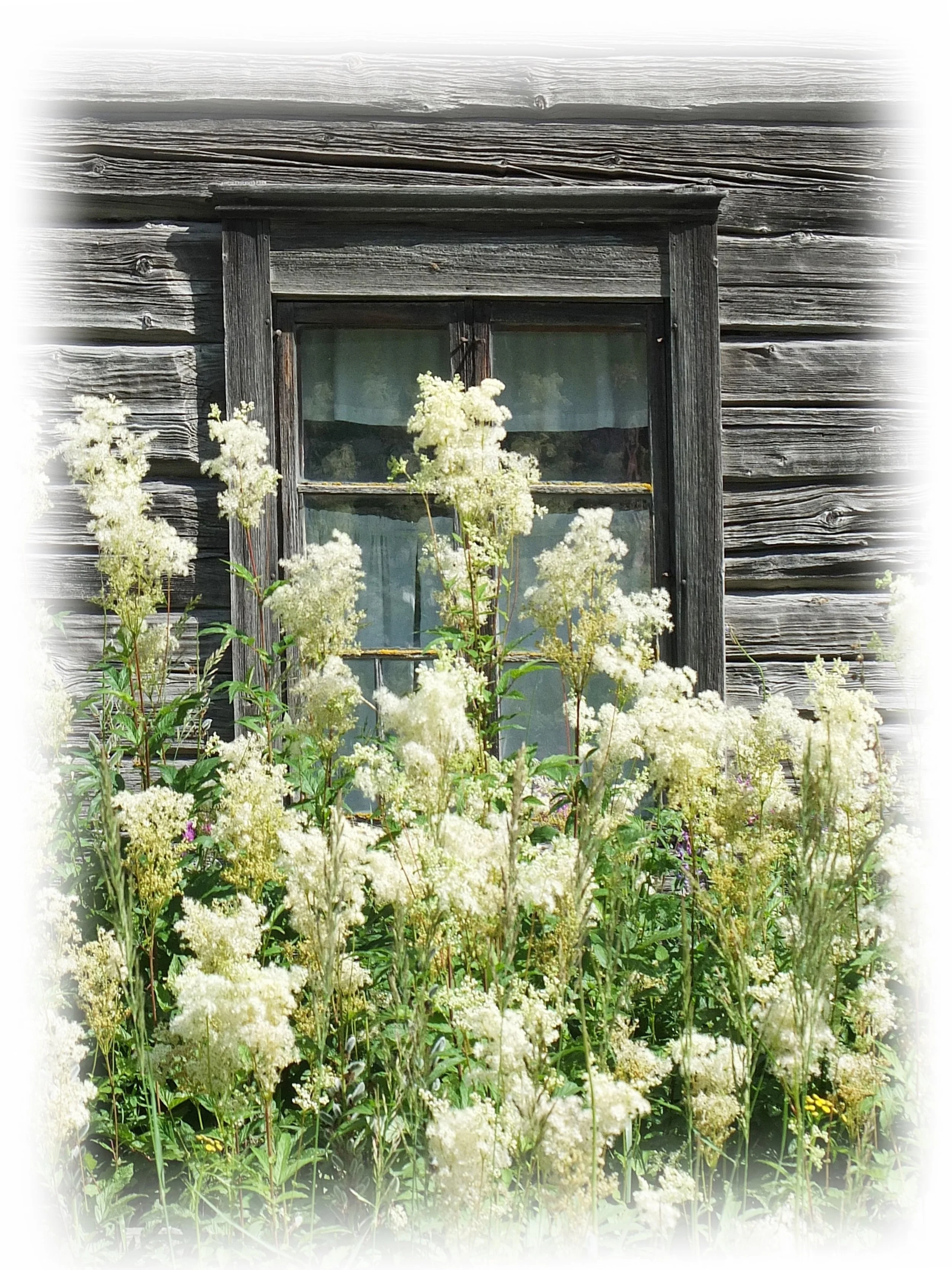 R 2   .jpg OIKAISTU.jpg