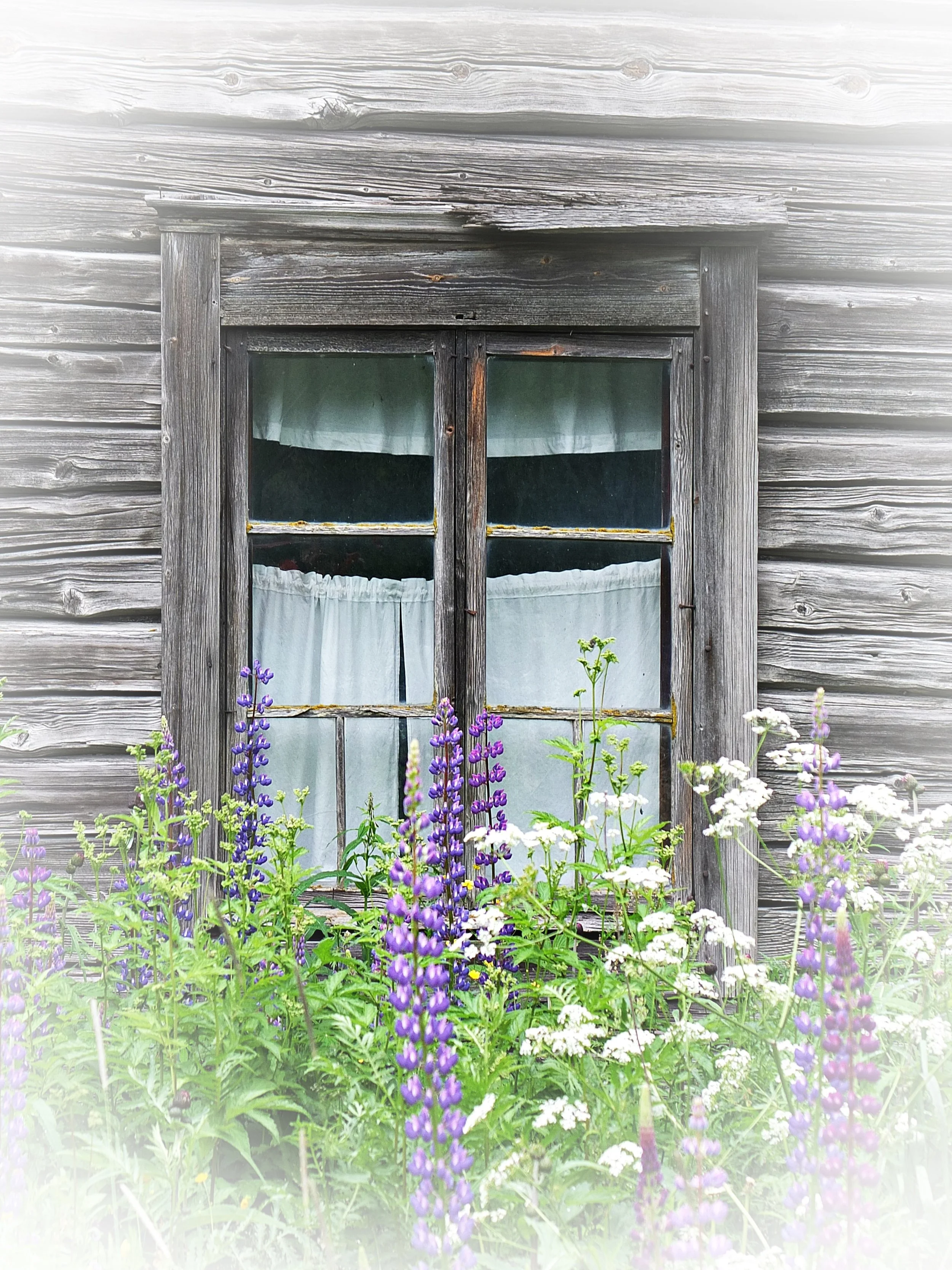 R 1   DSCF4515 muokattu 2 oikea koko.JPG