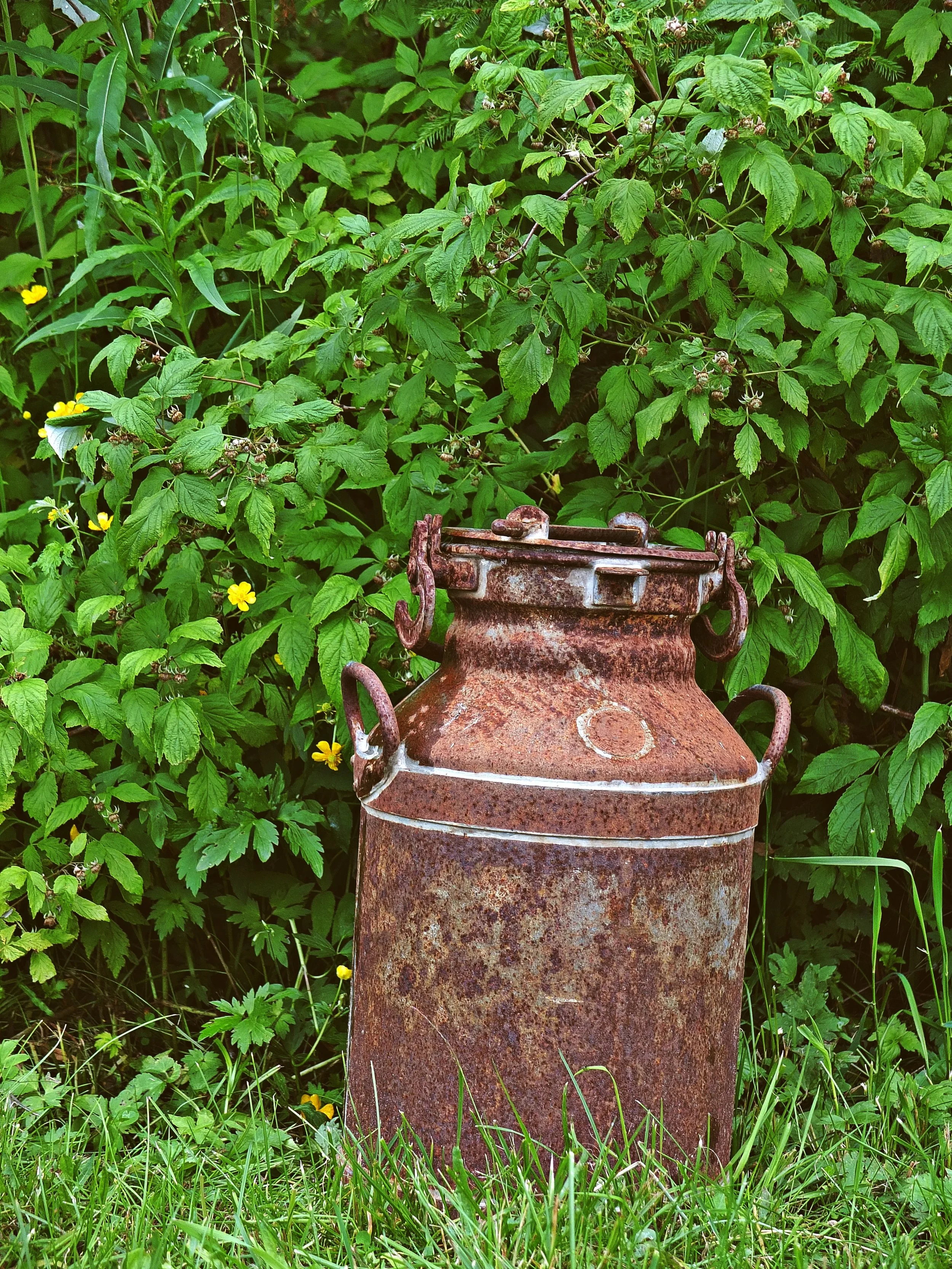 DSCF4552 korjattu pohja.JPG