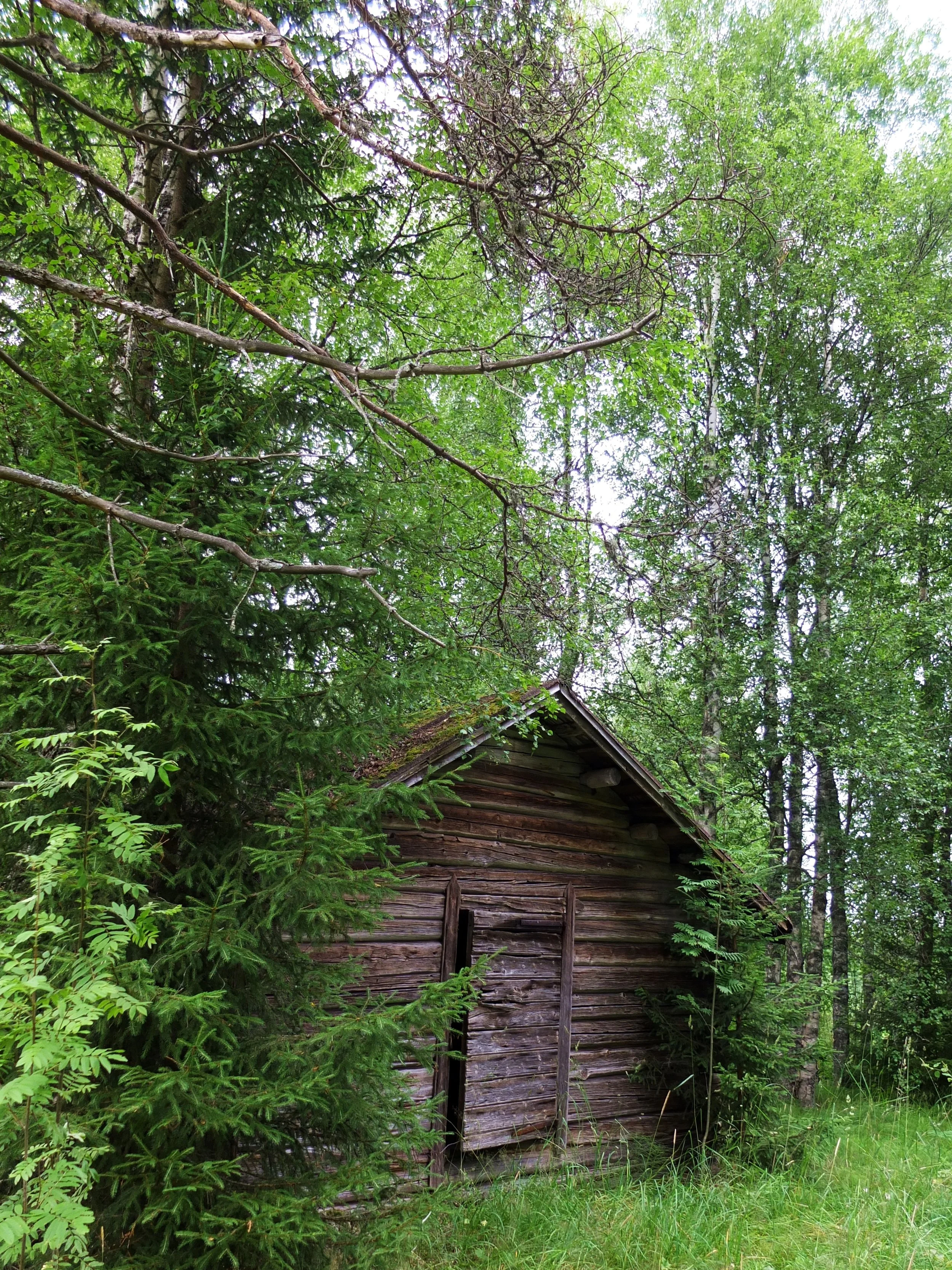 DSCF4999 muokattu paremmaksi.JPG