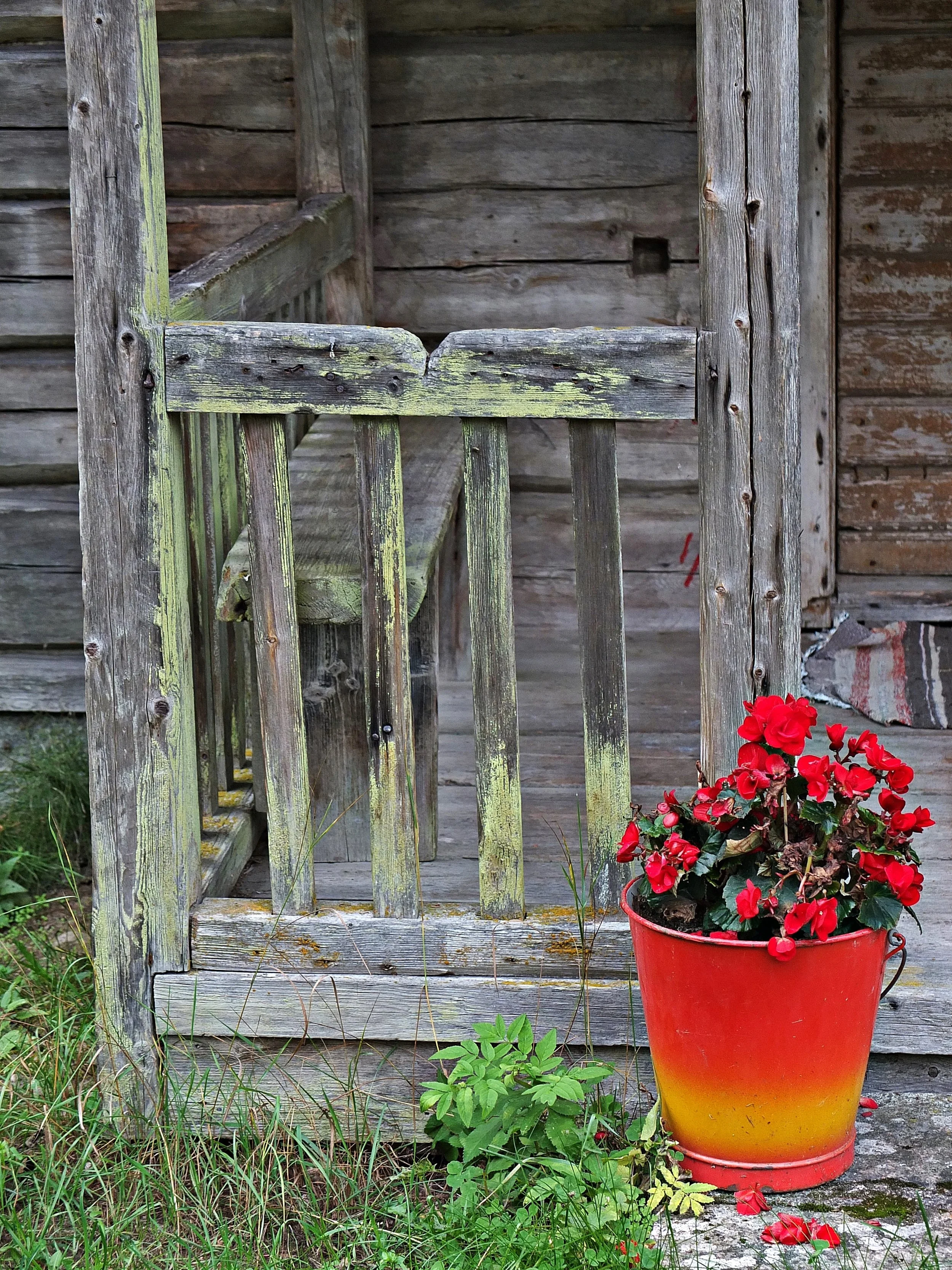 DSCF7809 muokattu.JPG