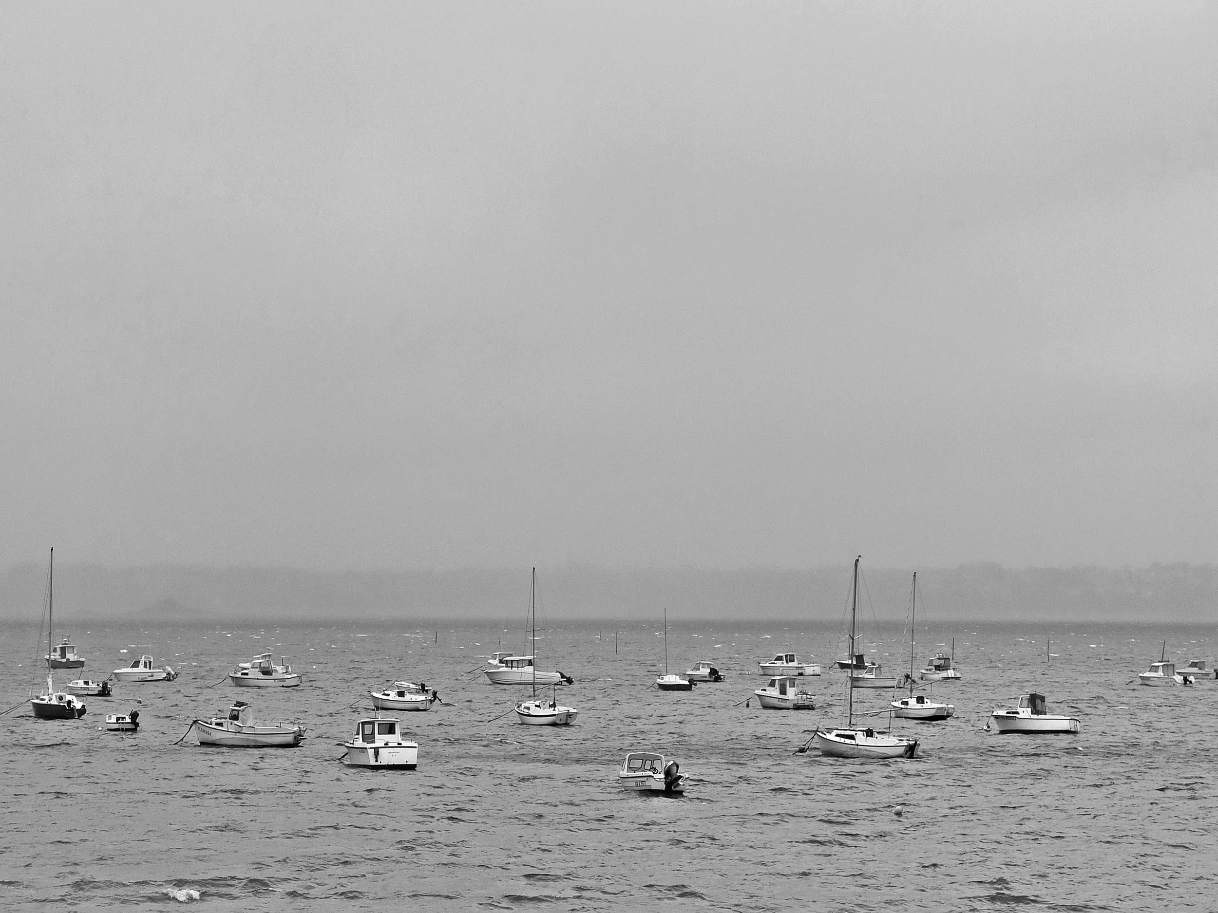 KESKIKOKO, HARMAA  1.jpg