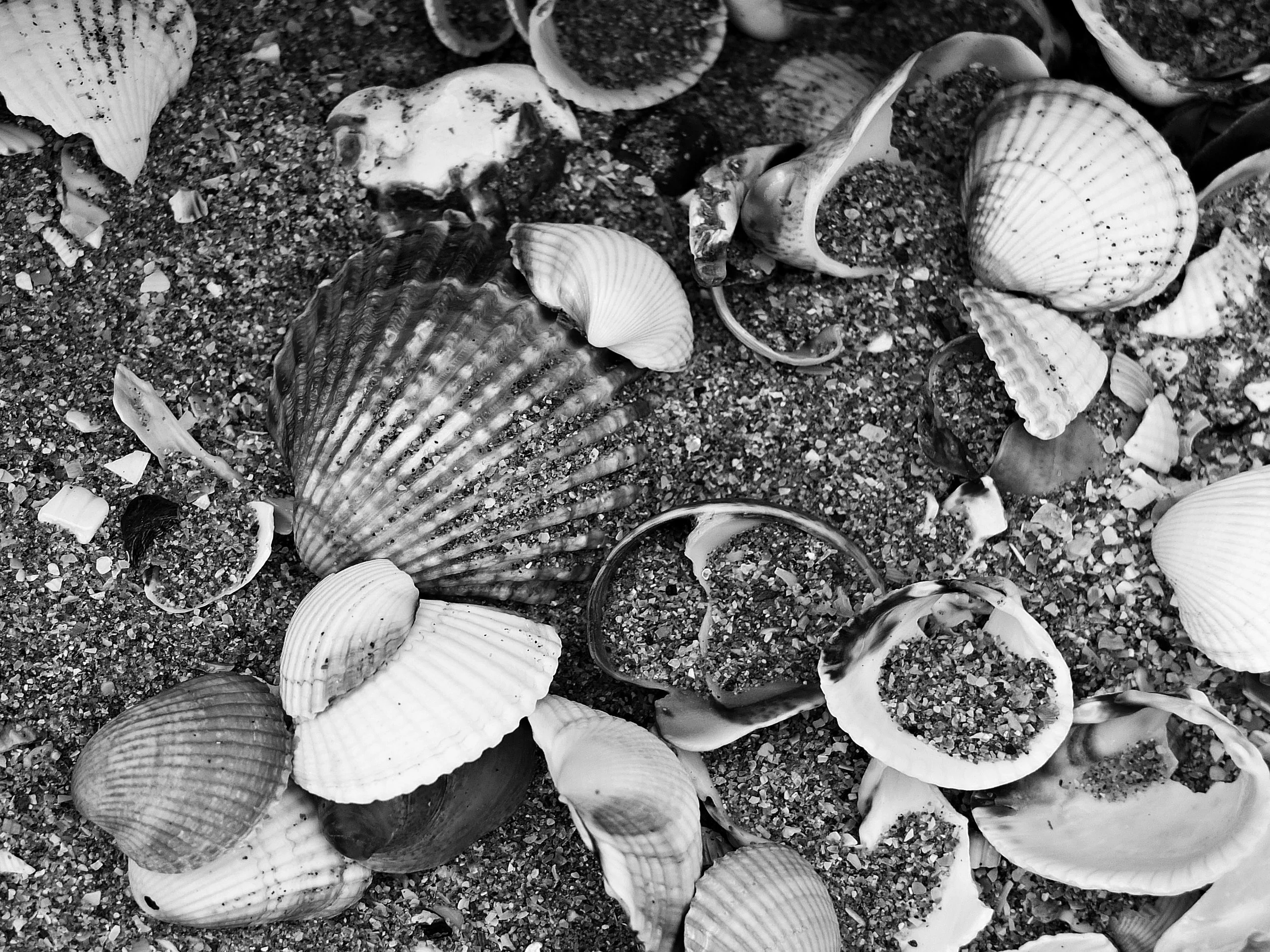 DSCF7318 muokattu TÄMÄ HARMAA.JPG