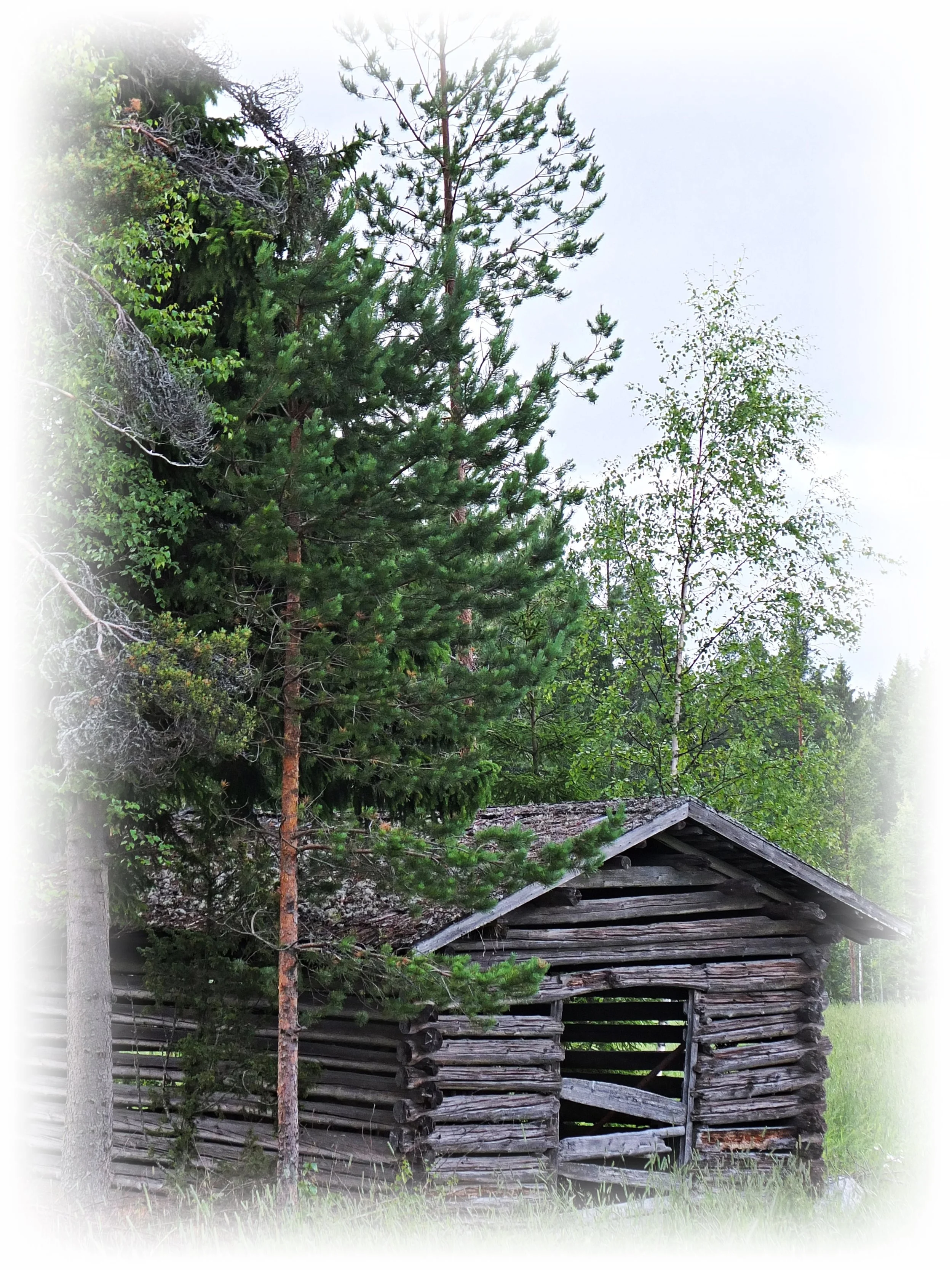 DSCF4711 TILAUS  REUNAT   muokattu.jpg