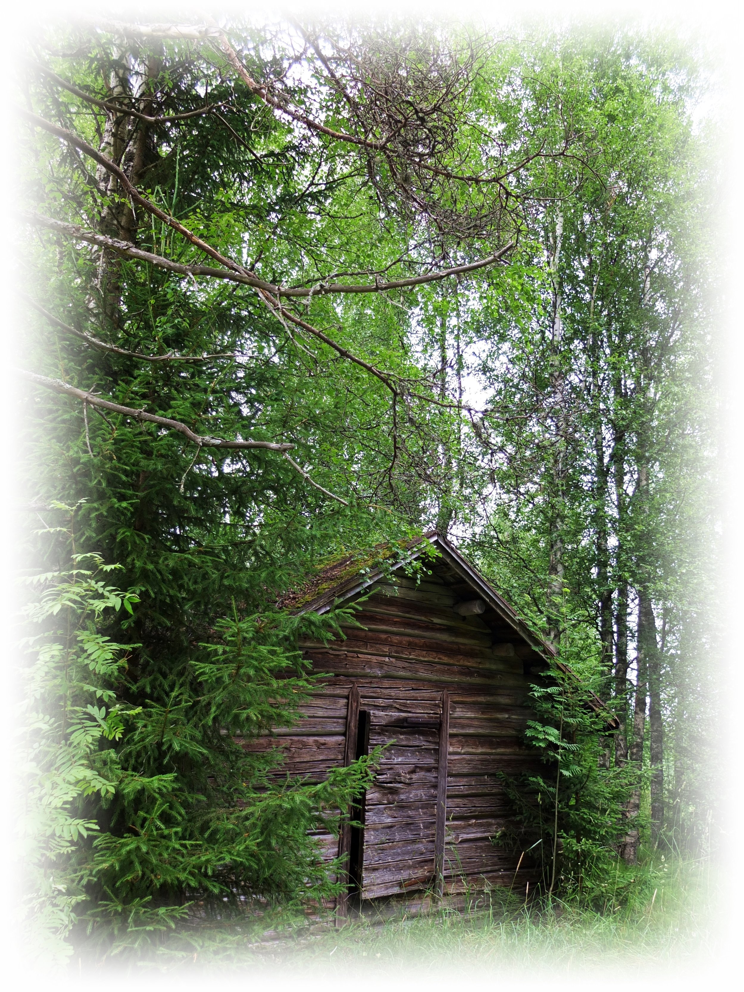 DSCF4999 TILAUS REUNAT   muokattu paremmaksi.JPG