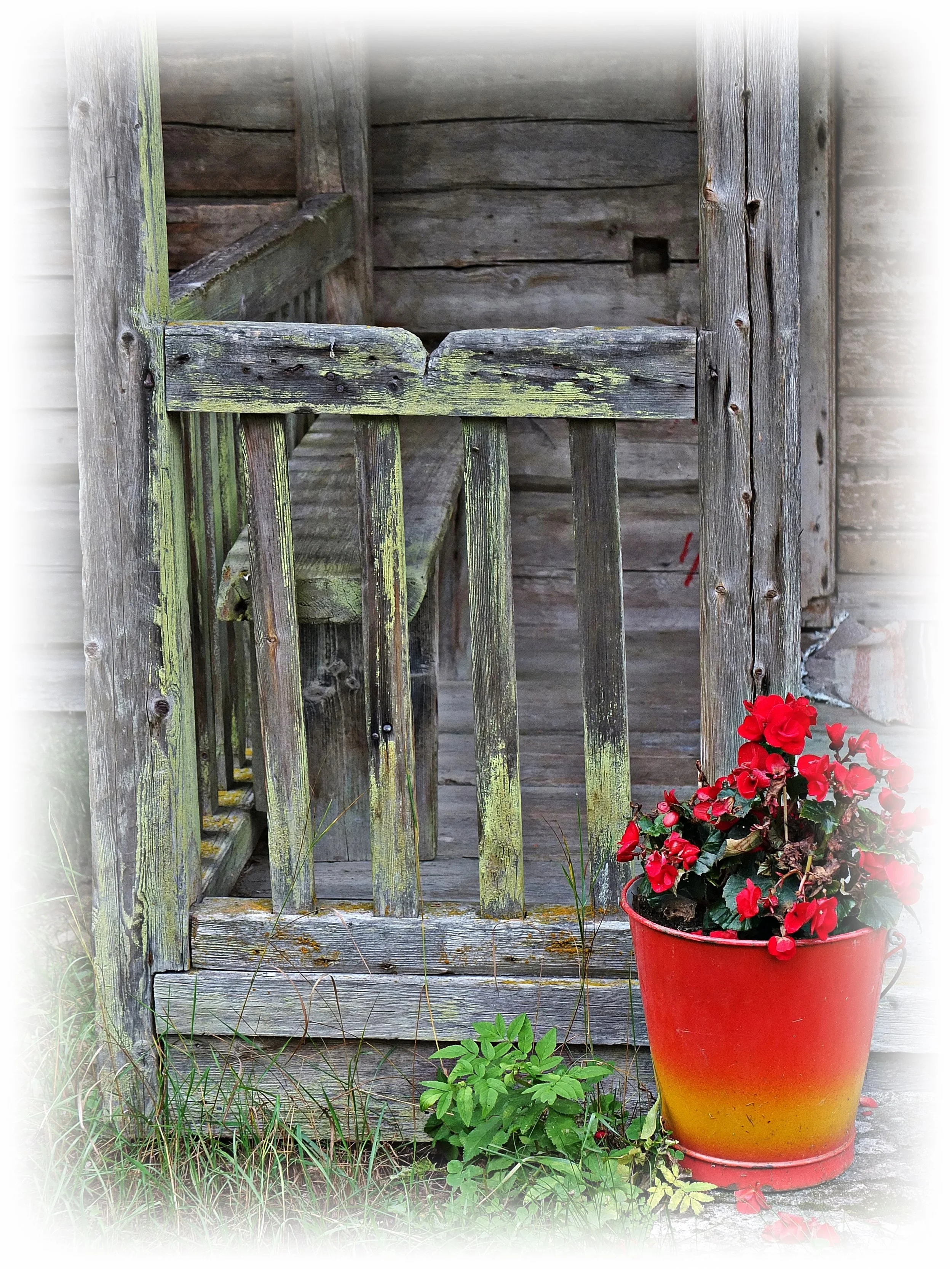 DSCF7809 muokattu TILAUS REUNAT.JPG