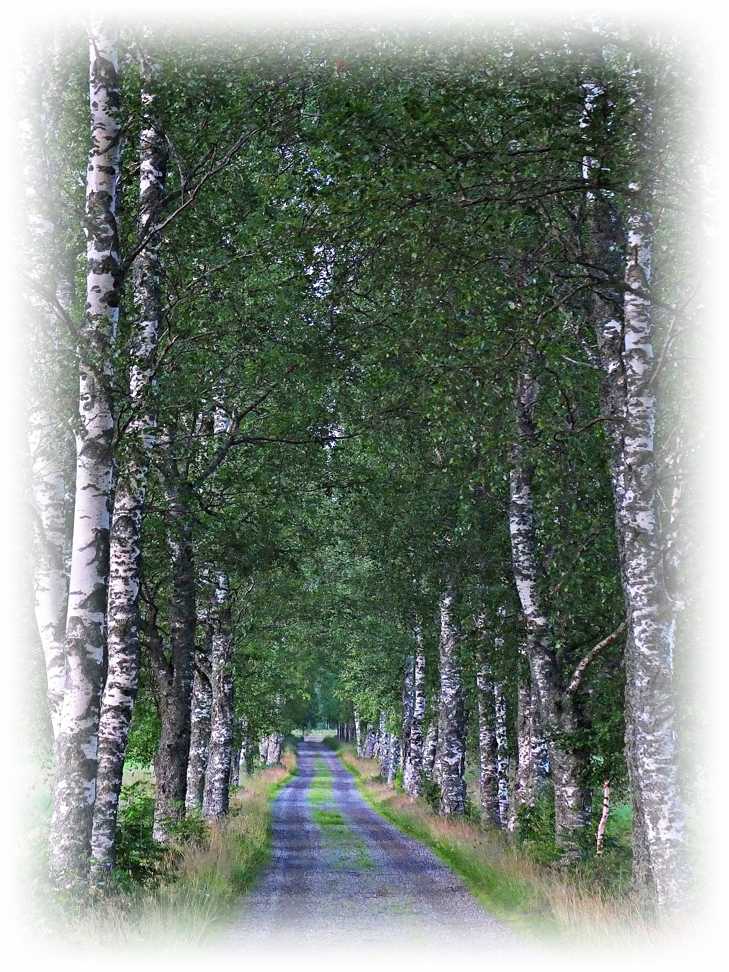 DSCF4865 REUNAT muokattu.JPG