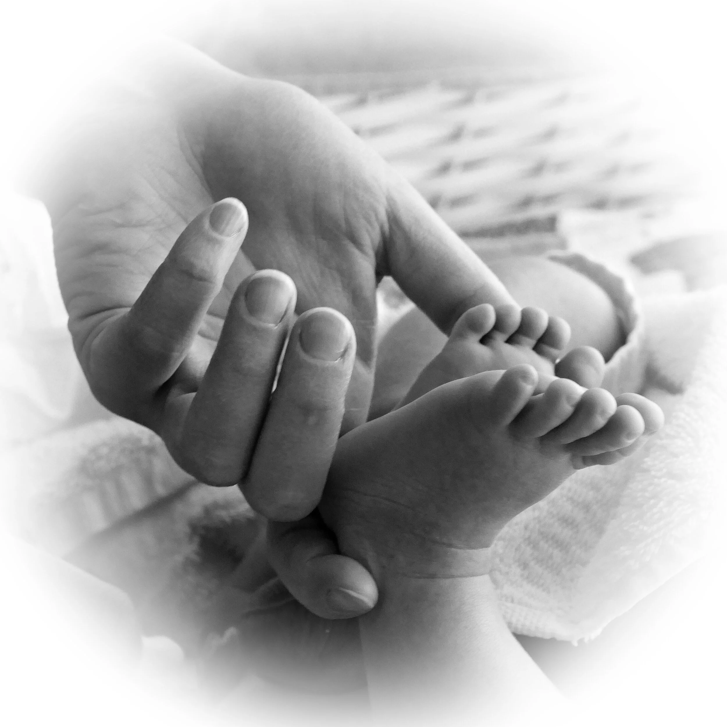 P1090251 NELISKANTTINEN muokattu vyöhyke.JPG