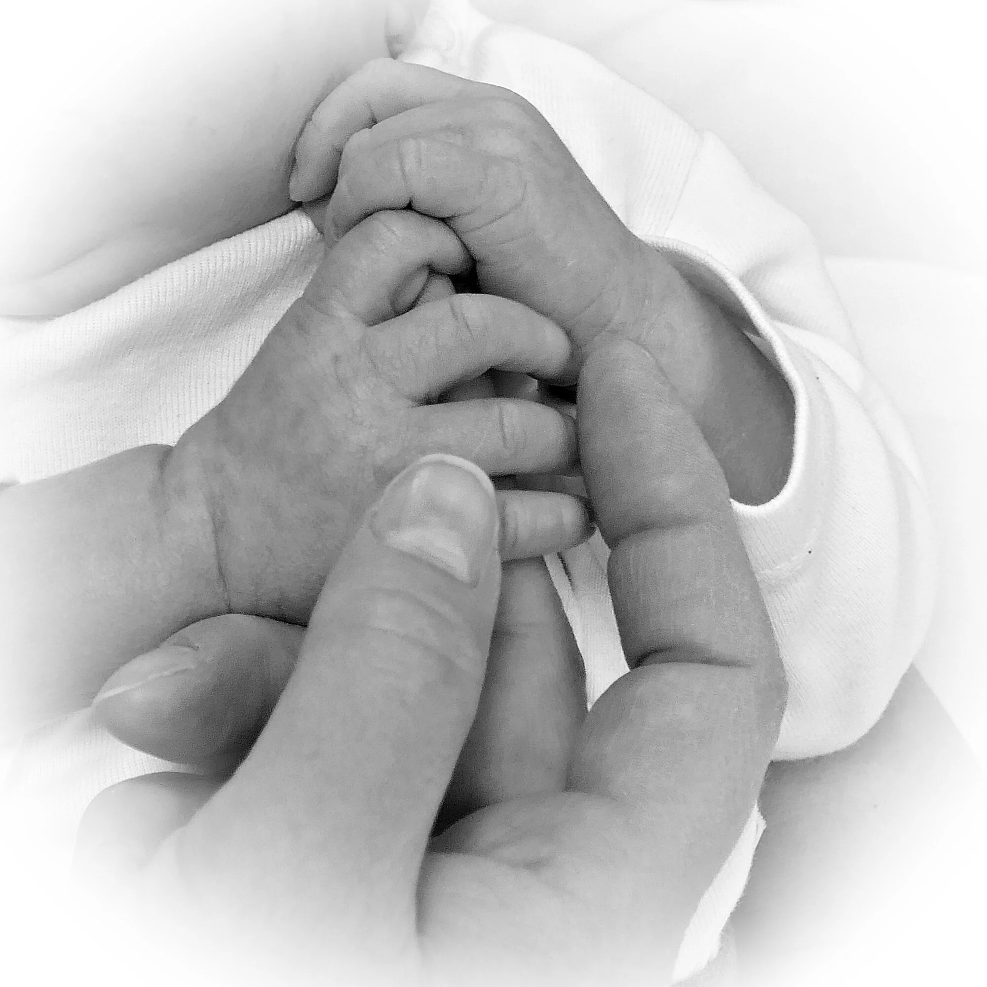 P1090095 NELISKANTTINEN musta-valko vyöhyke.JPG