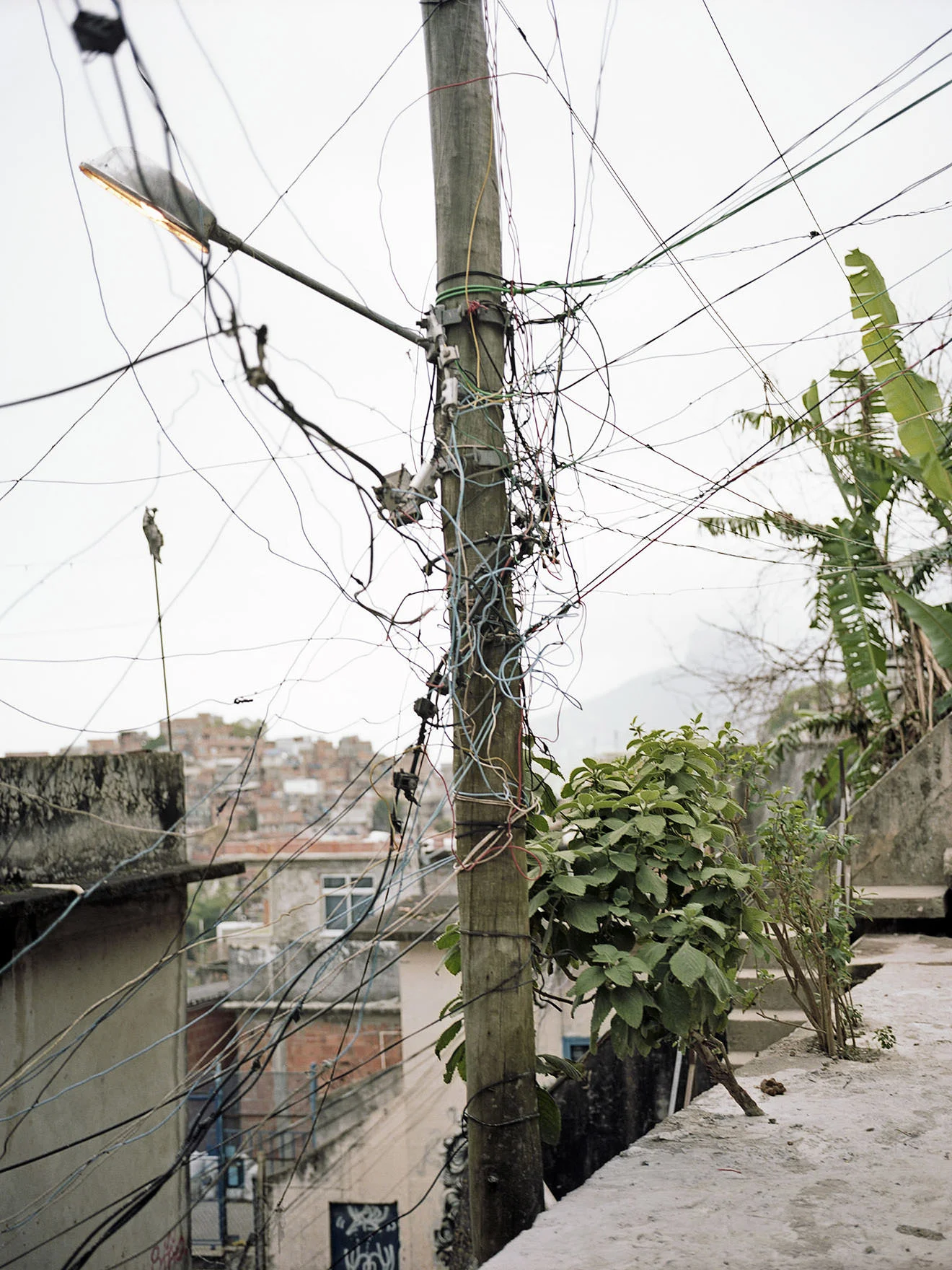 Rio002.jpg
