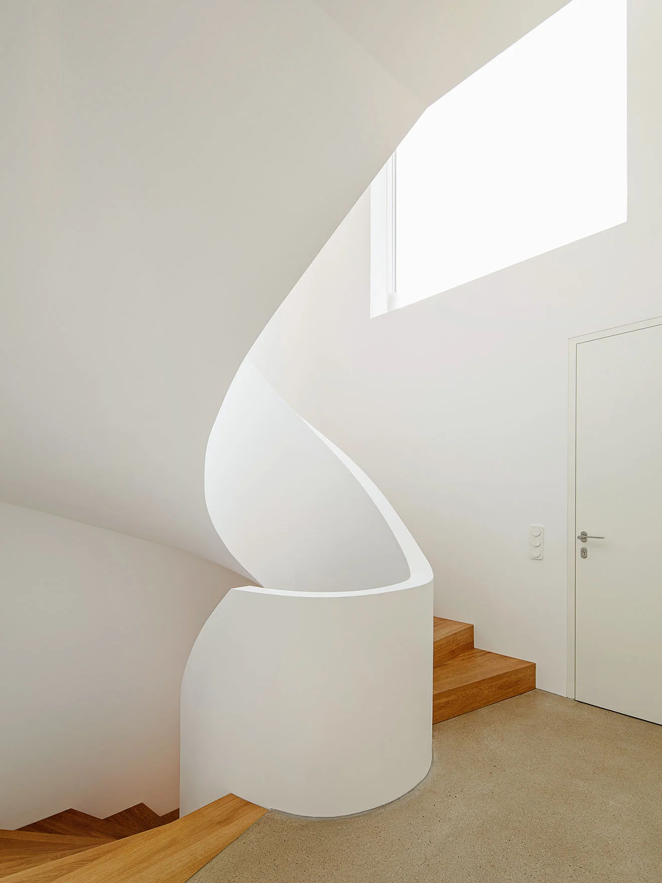 meier002.jpg