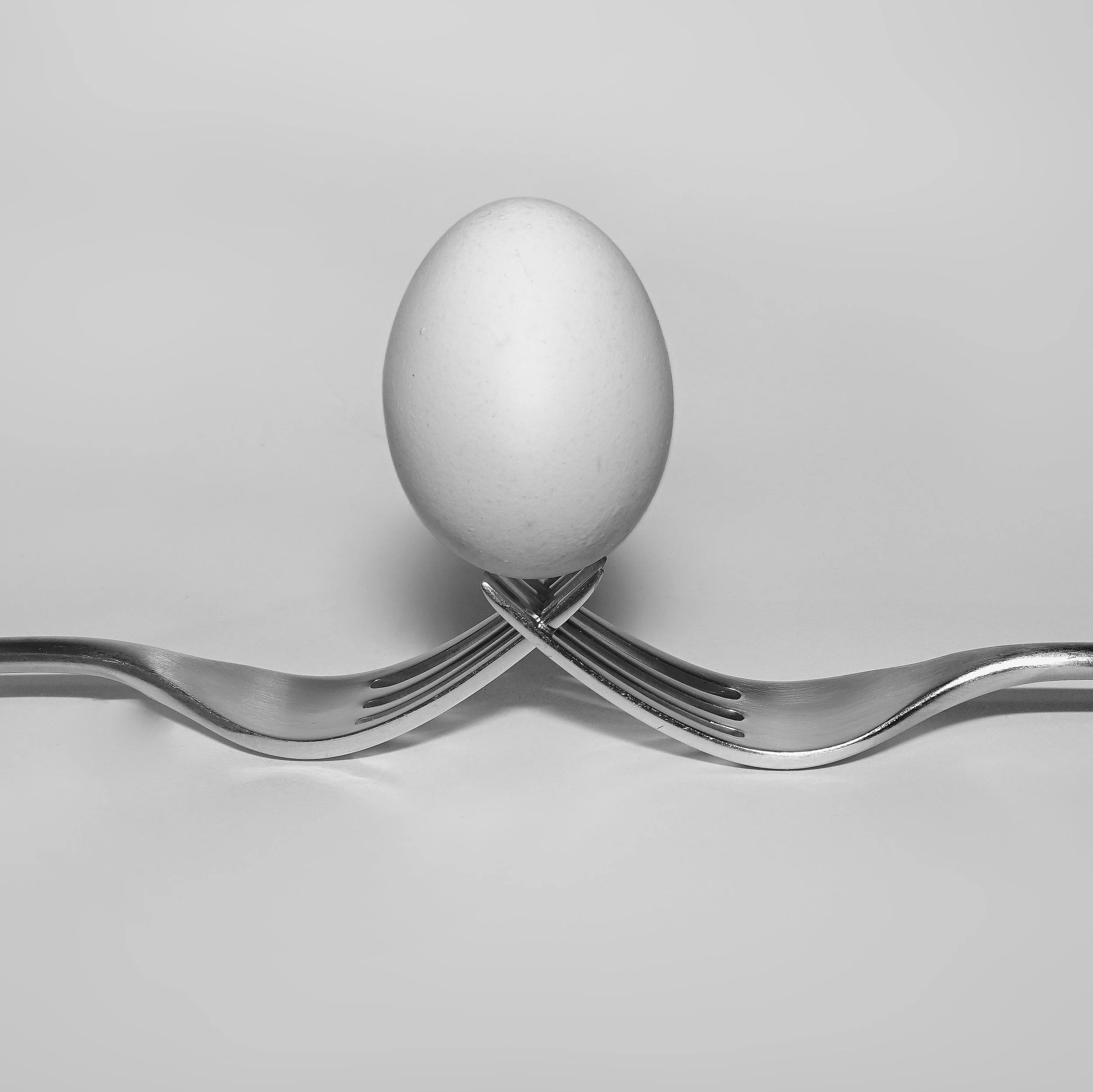 Egg v1.3.1.jpg