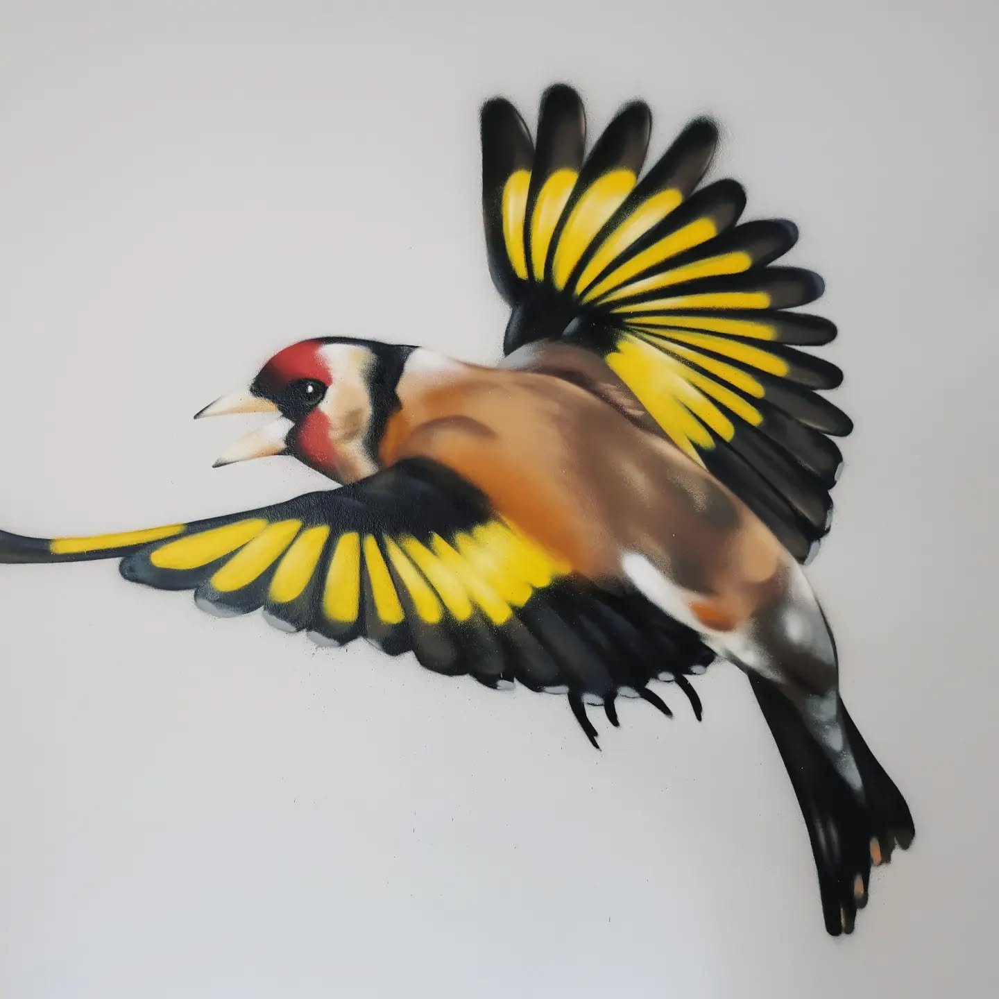 Birds of a Feather 🍂
Commission for a private residence in Constantia, Cape Town
.
.
.
#mrbzar #graffiti #artist #art #wedograffiti #mural #graffitiartist #nature #birds #fineart #graffitiart #constantia #capetown #capetowngraffiti