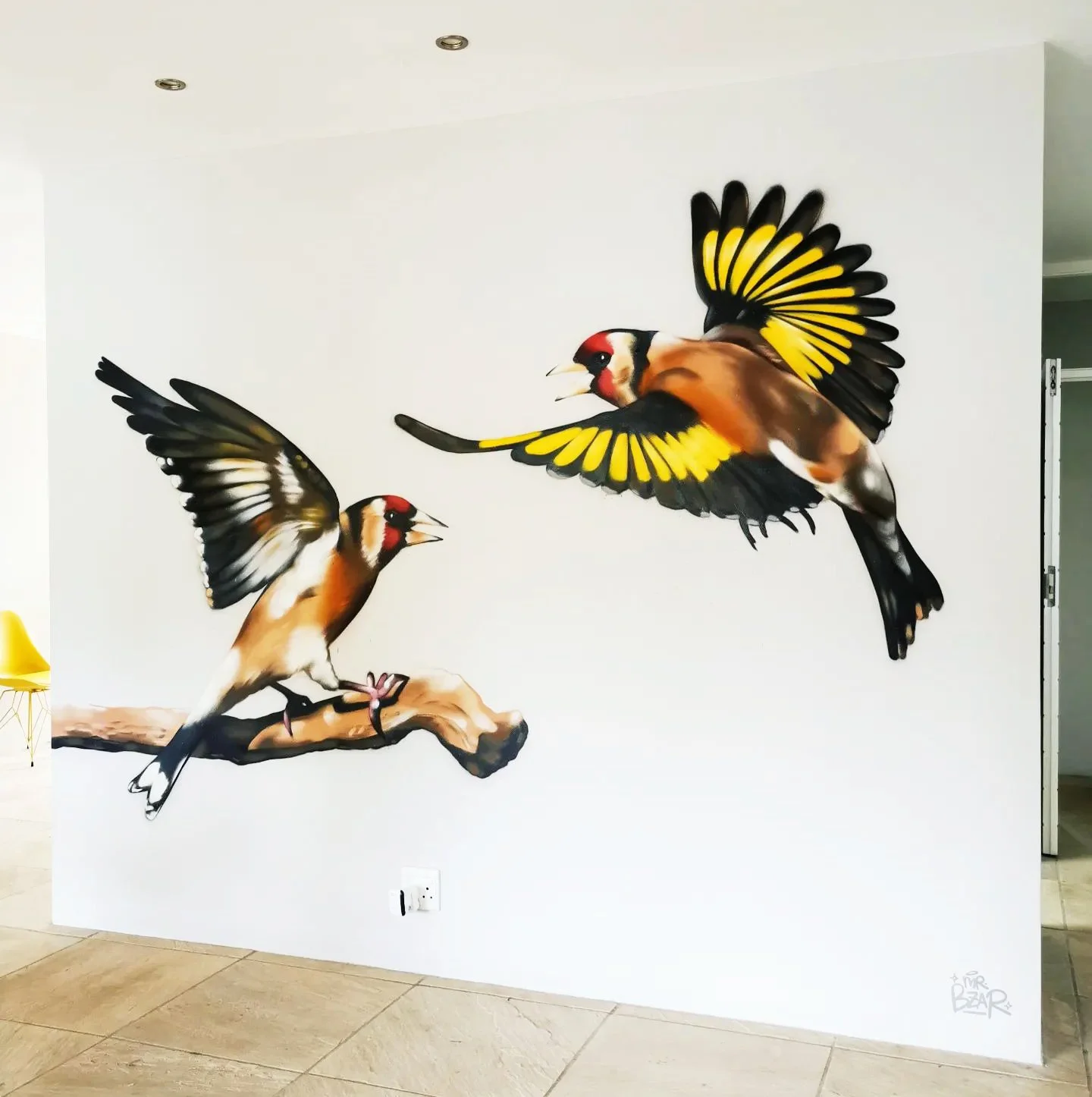 Realistic Graffiti Artwork of birds in a private house in Constantia Cape Town