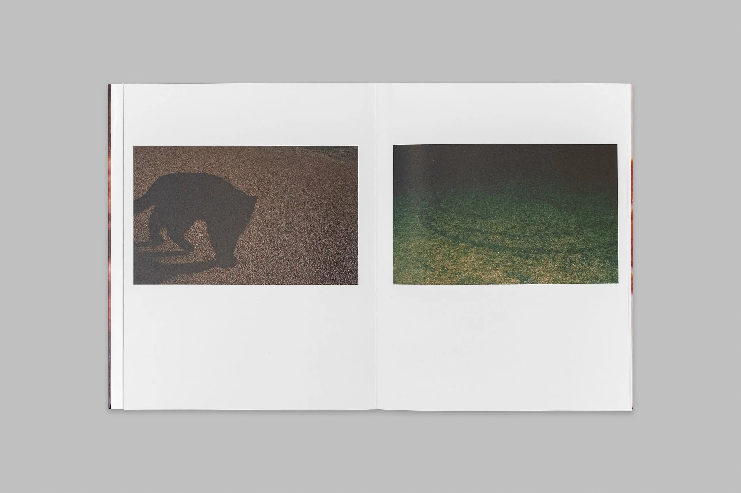 Sunniva Hestenes - A Tear For Someone Undeserving_02.jpg