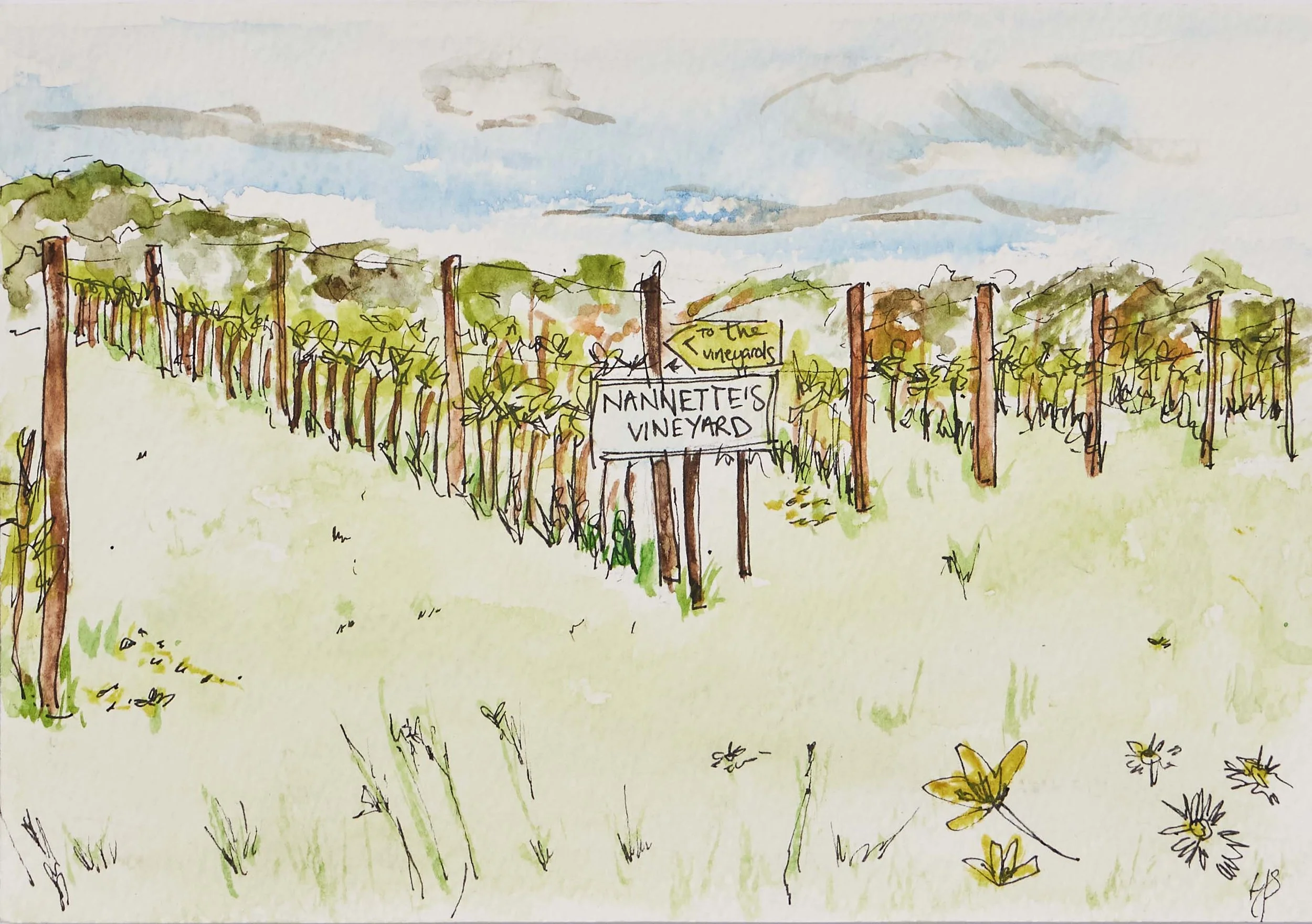 Nanette's-vineyard-watercolour-illustration.jpg