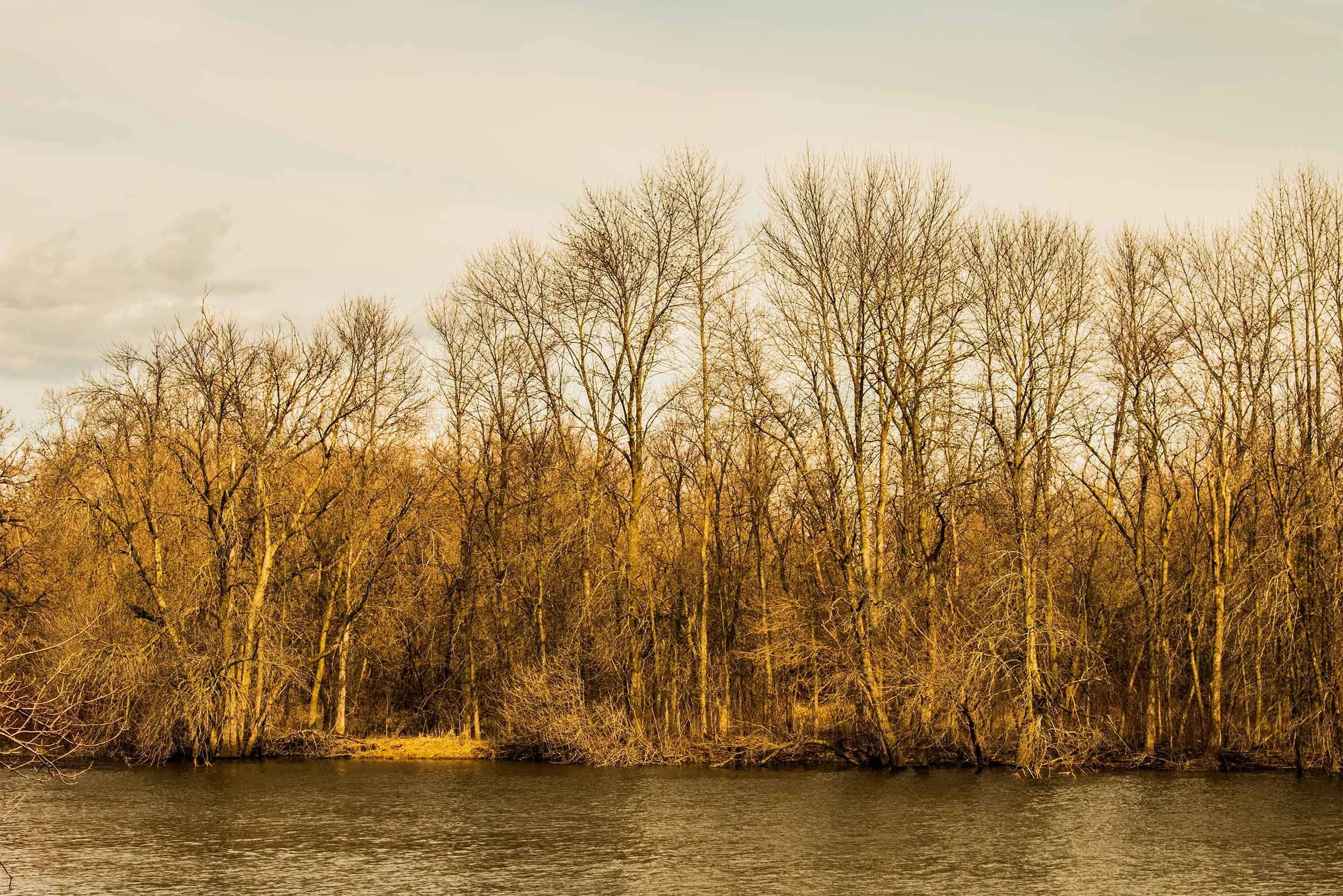 Across a river is warm-colored shoreline and overcast sky at Aztalan State Park in Wisconsin