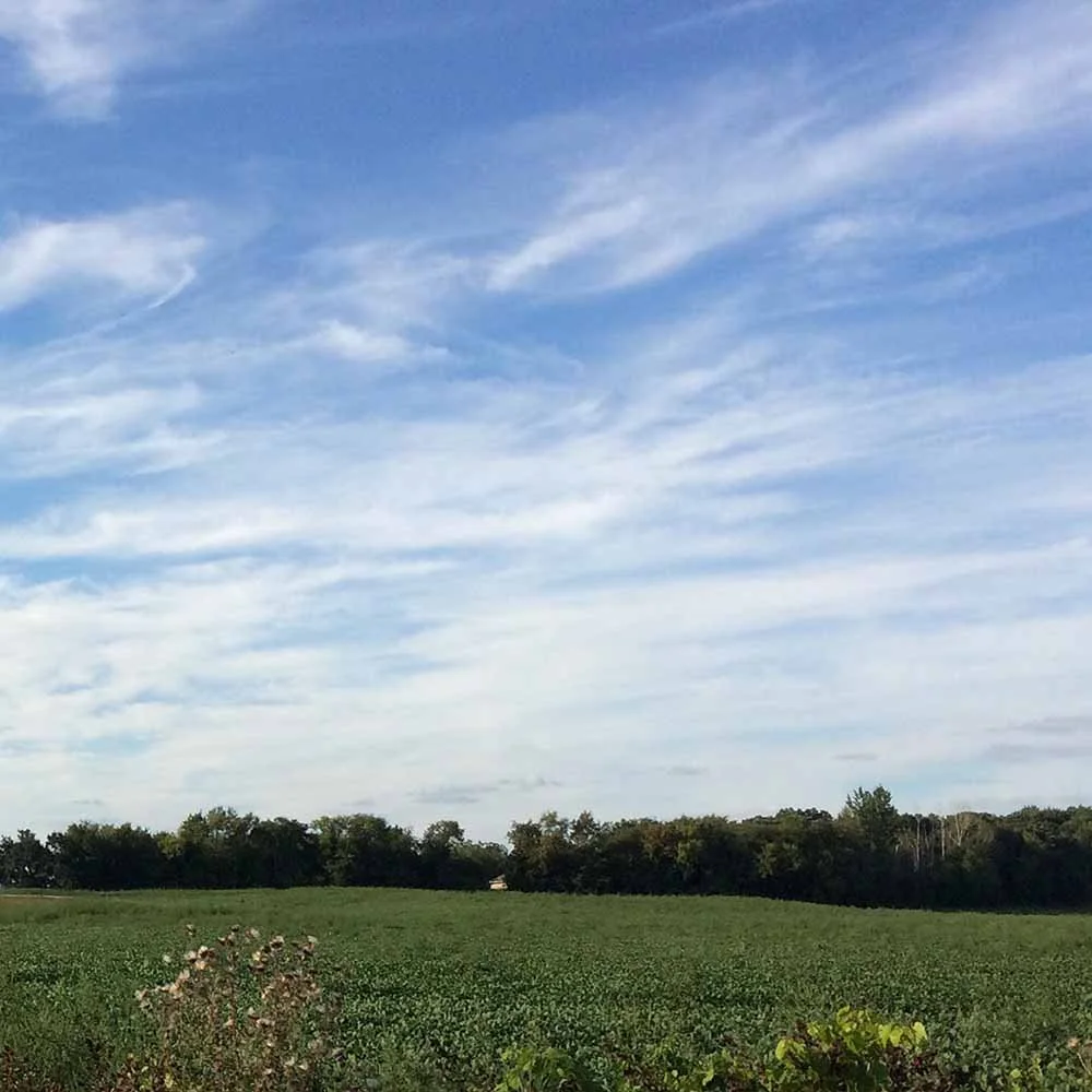 Dan Converse | Blue Skies | Sky and Field | Graphic Design