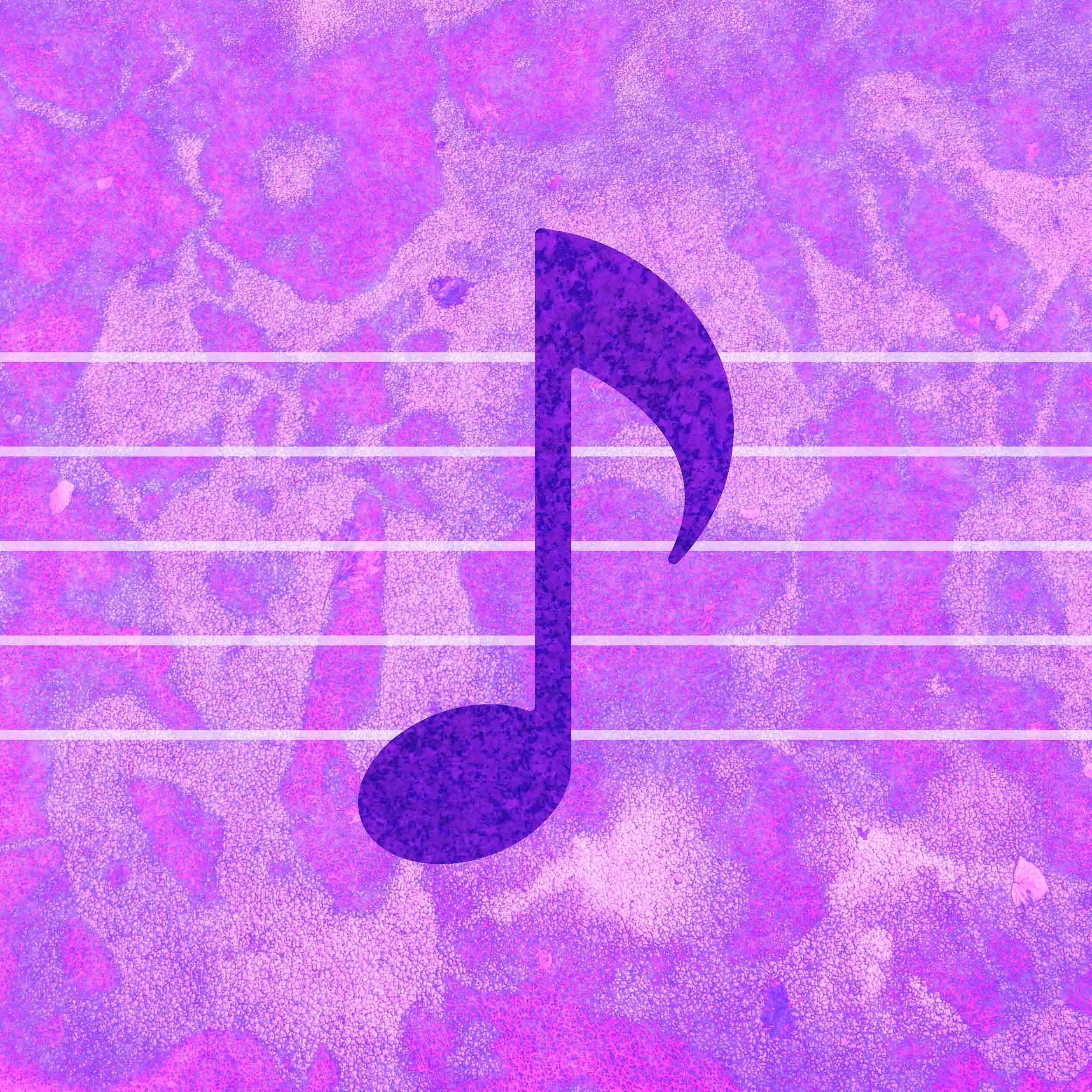 Dan Converse | Rodgers and Hammerstein Timeline | Graphic Design