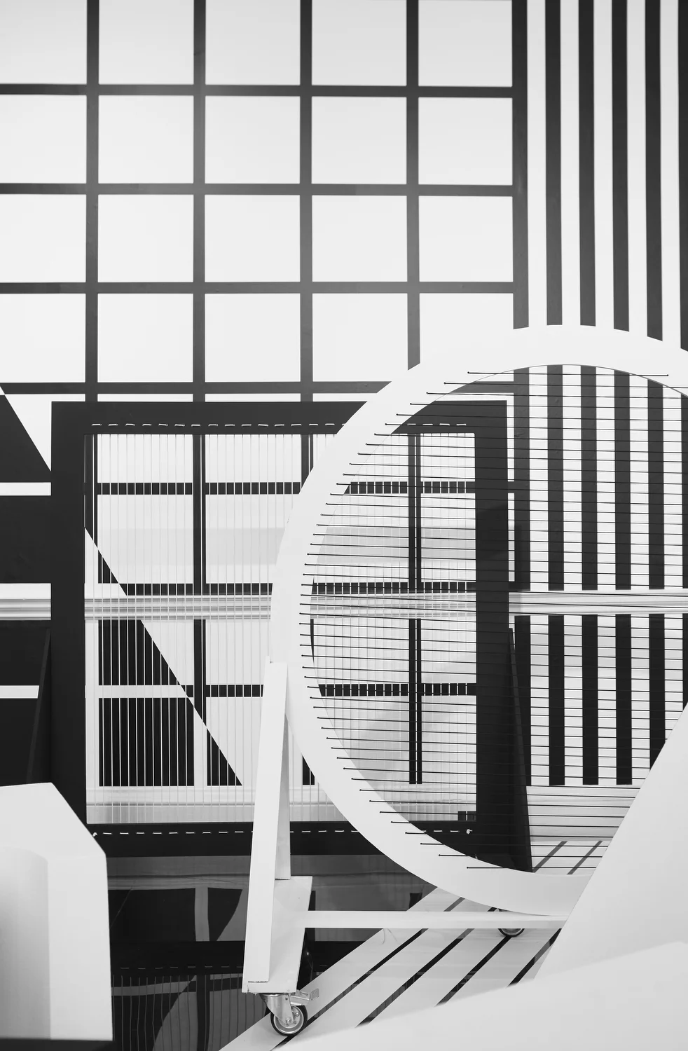 Fotis-Cooper_Patternity_KNP_08.JPG
