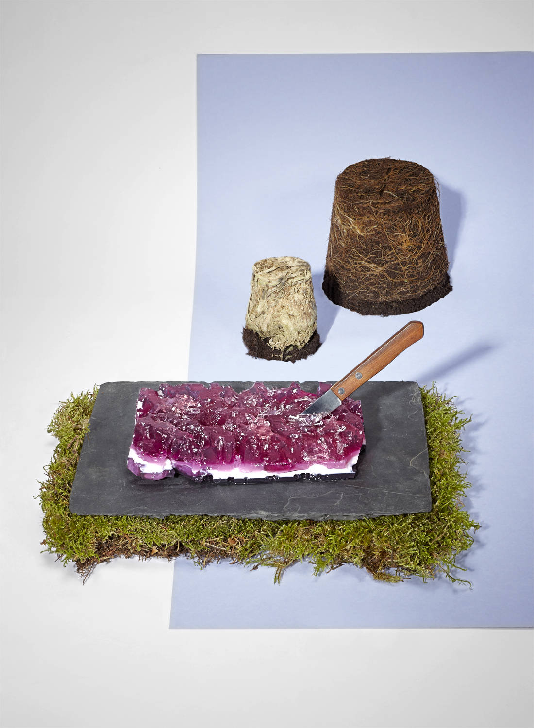 1.Grazing Steak.jpg