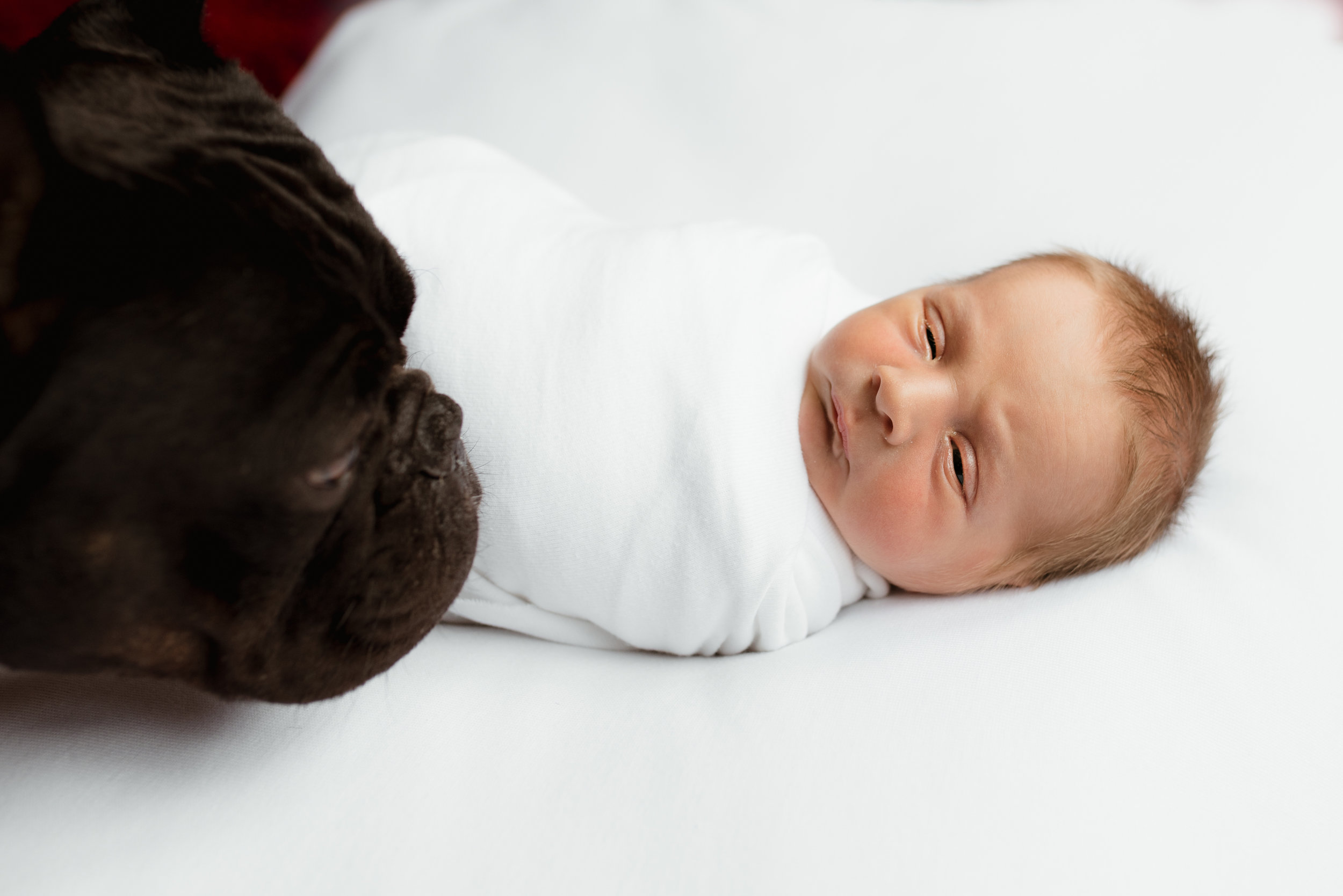 sleepy baby with pet dog