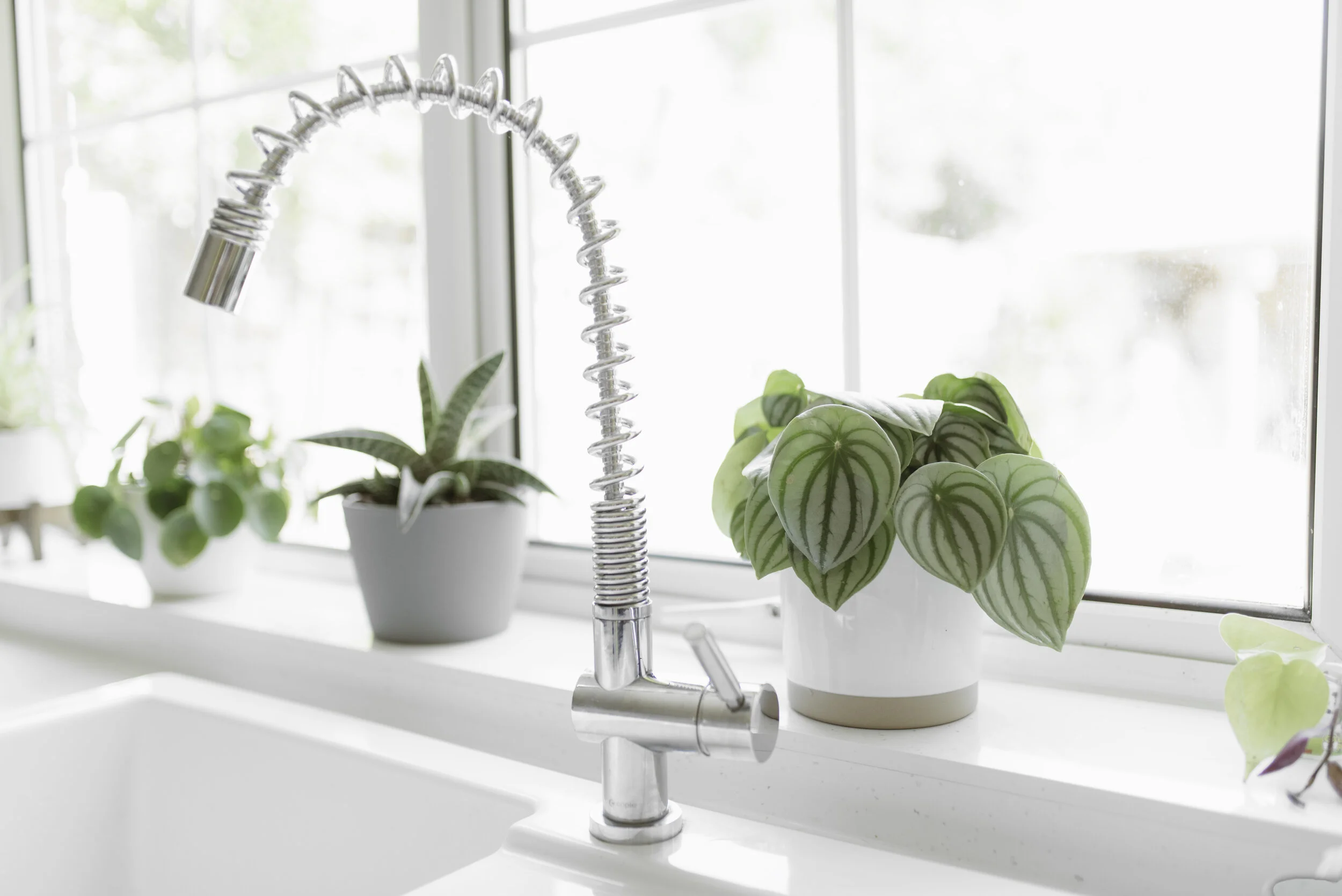 How to create a healthy family home // Bringing the outdoors in.