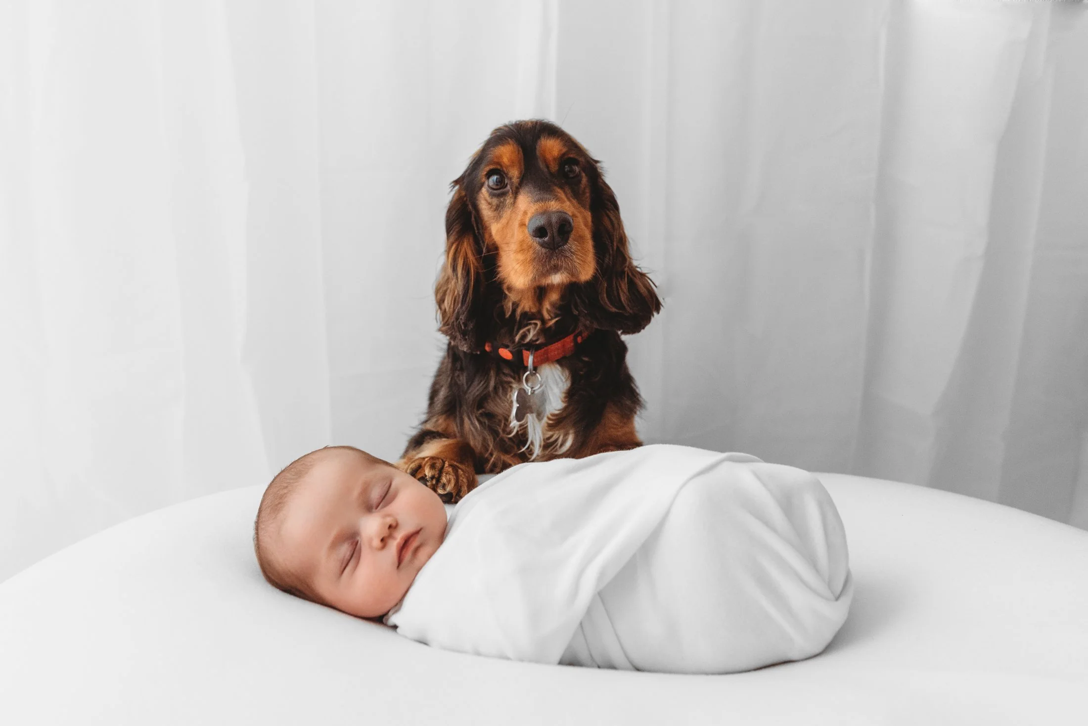 older newborn photography with alert baby showing natural expressions