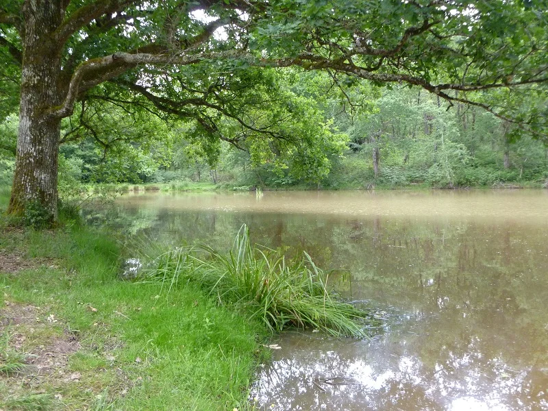 caravan_lake_view_2.jpg