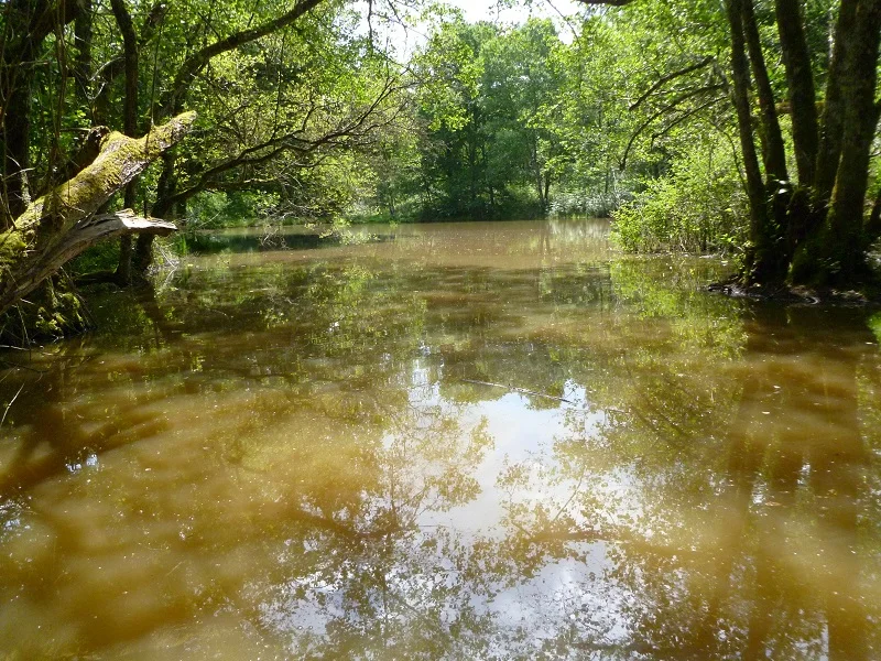 caravan_lake_view_3.jpg