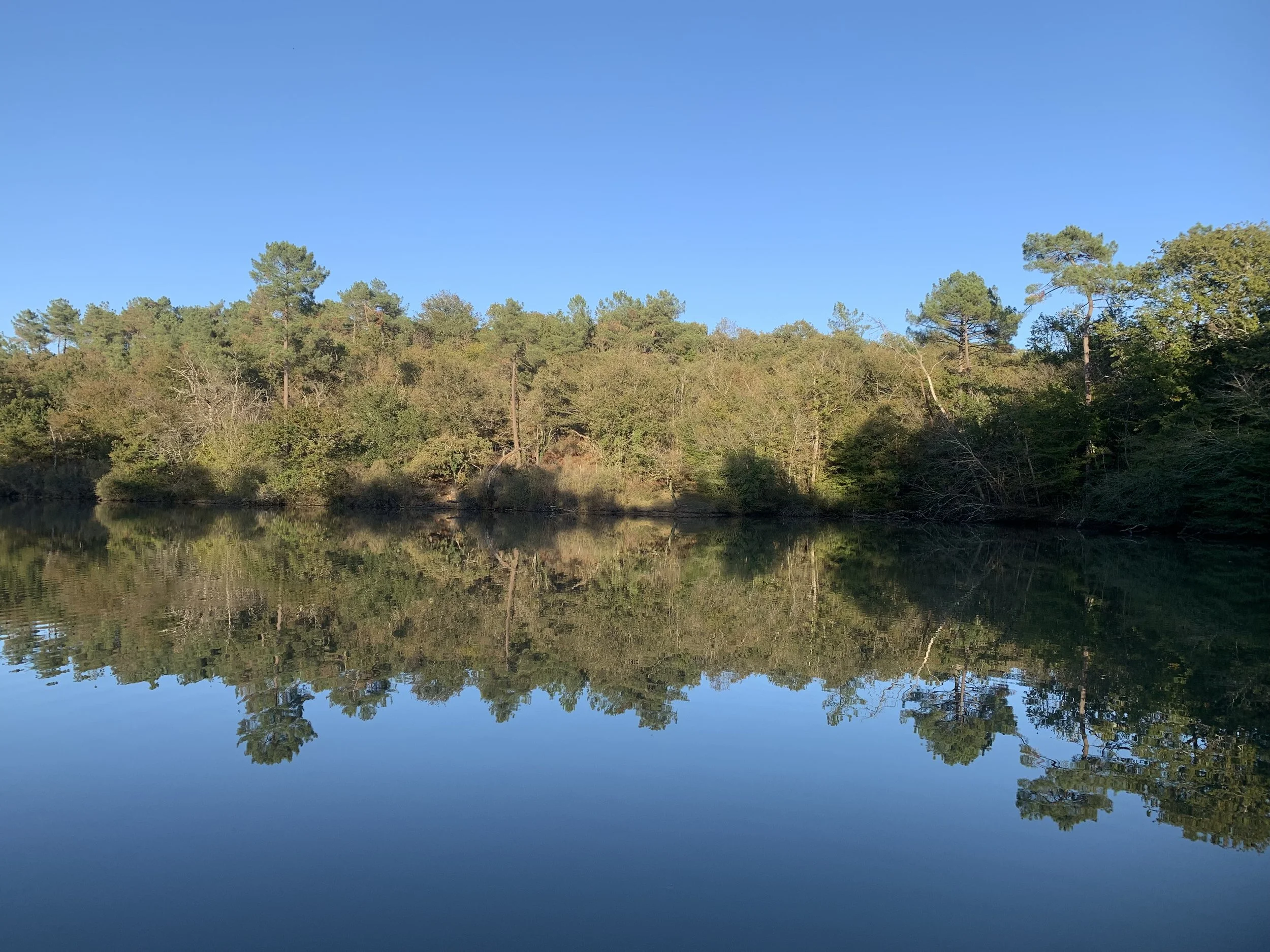 The Lakes