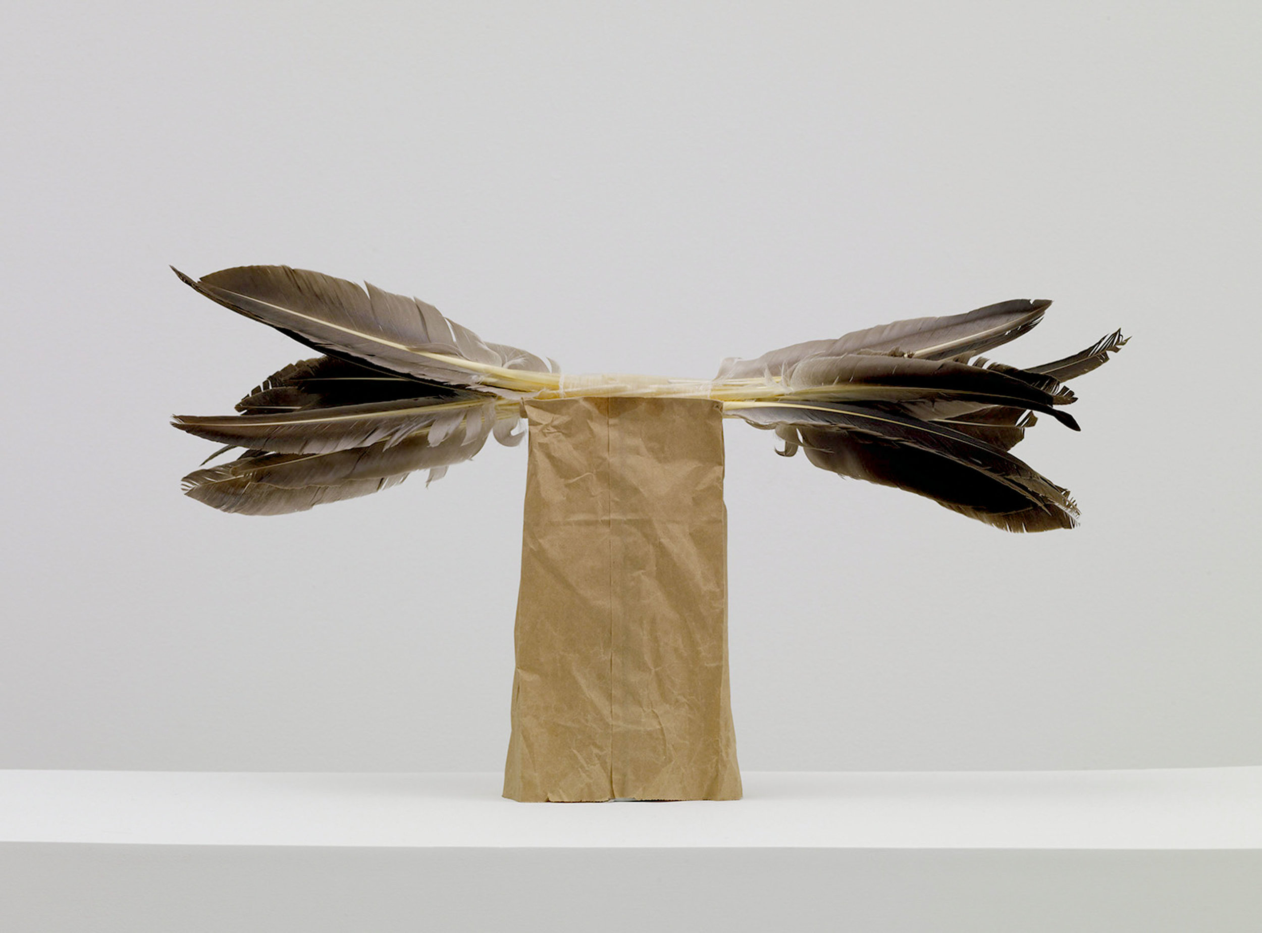 untitled (geronimo I y II), 2006-12