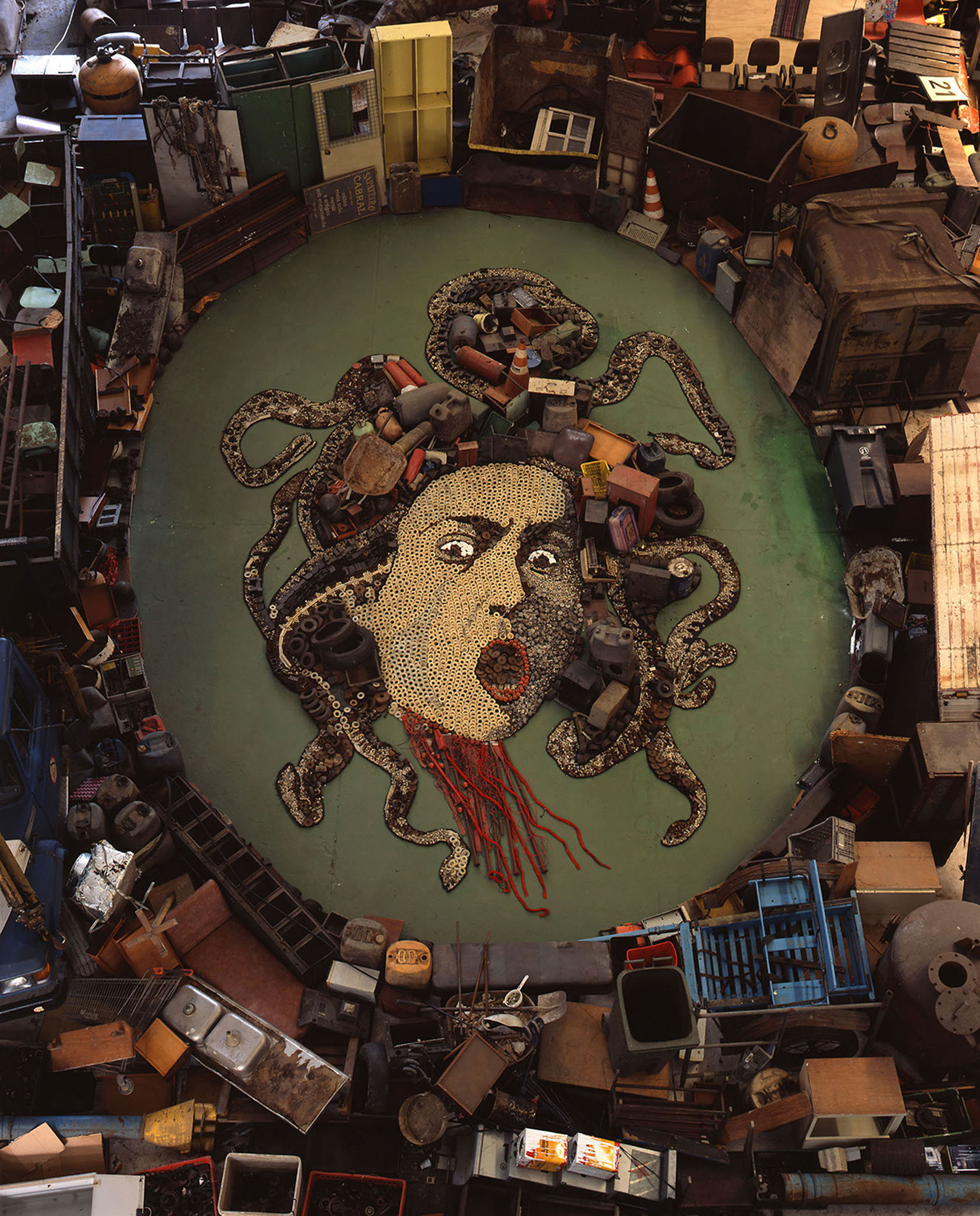 Medusa, after Caravaggio (Pictures of Junk), 2009