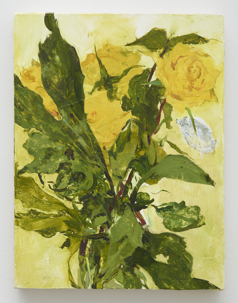 Yellow Roses, 2015