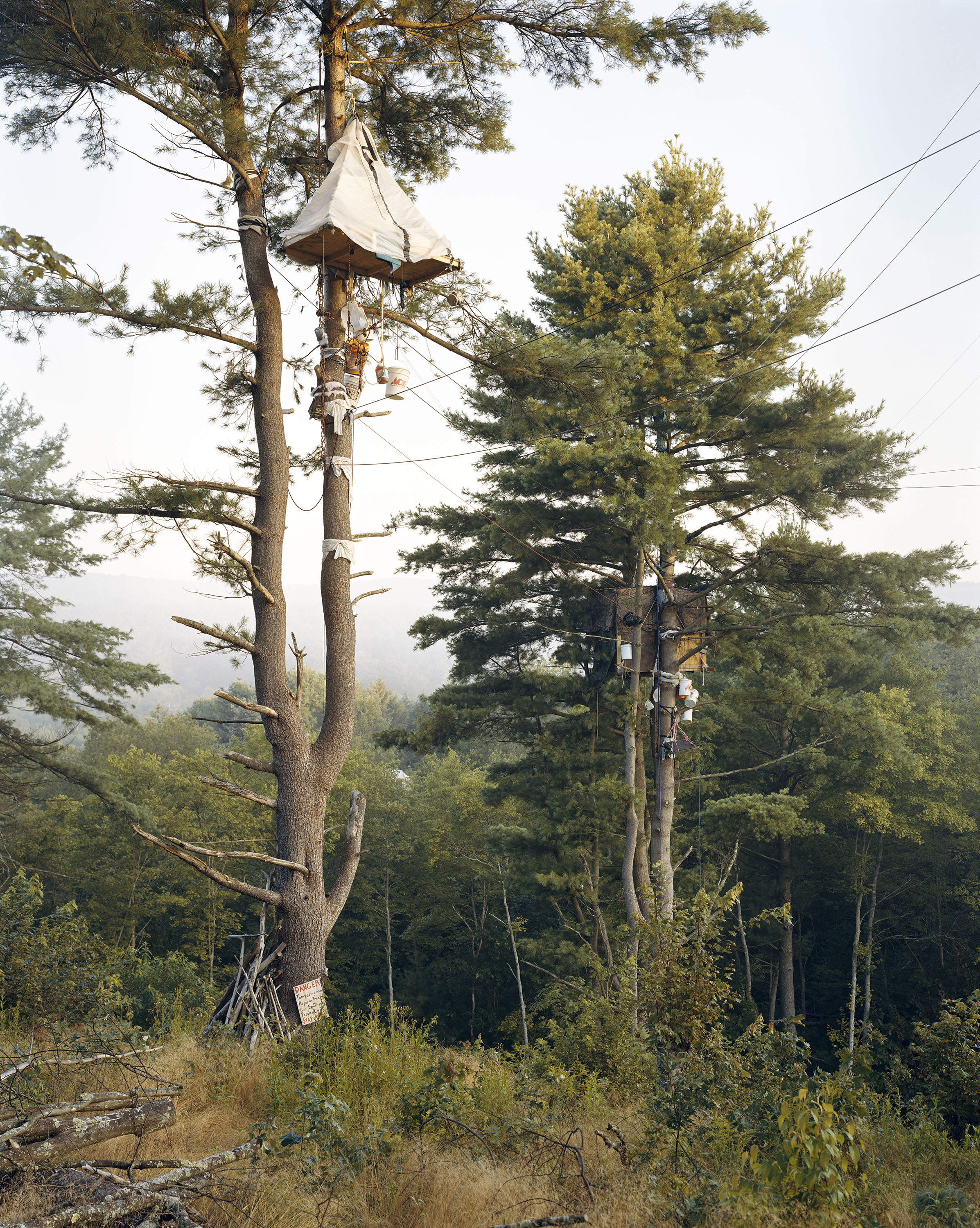 Tree-Sits, Camp White Pine, Huntingdon County, Pennsylvania 2017, 2017