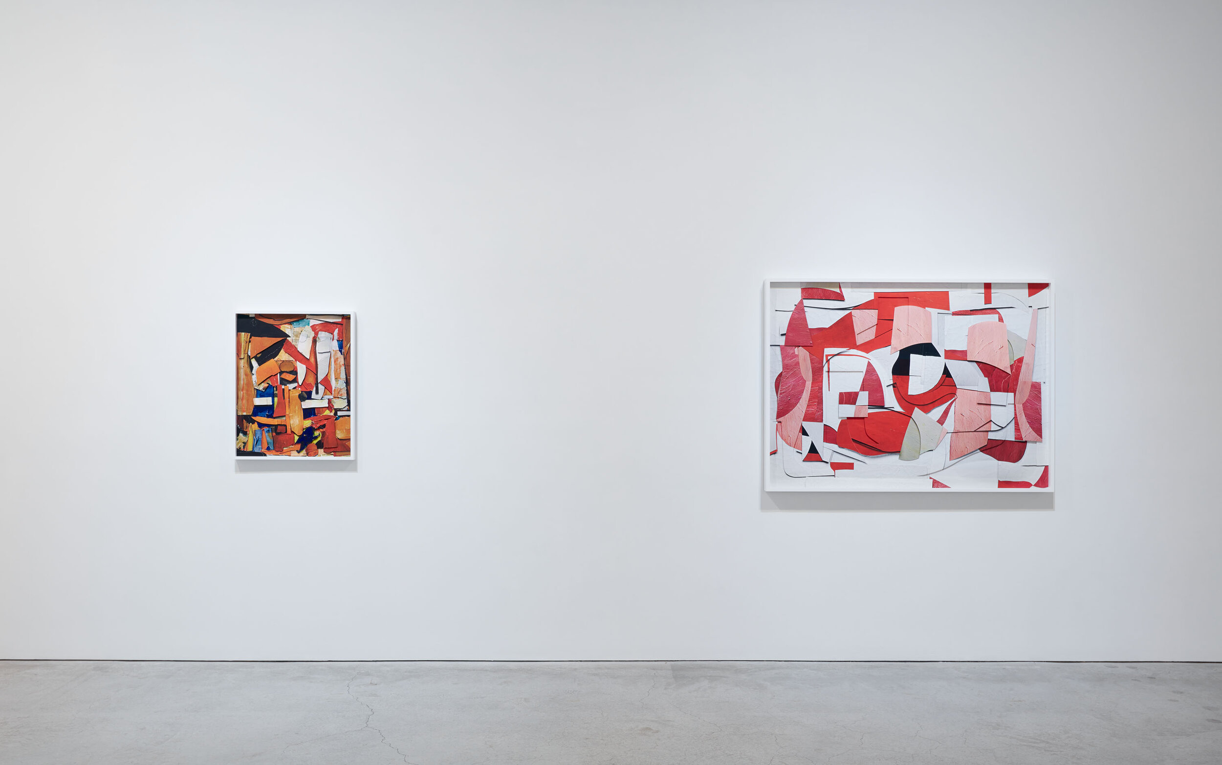 Muniz installation view SJCo 10-2019-11.jpg