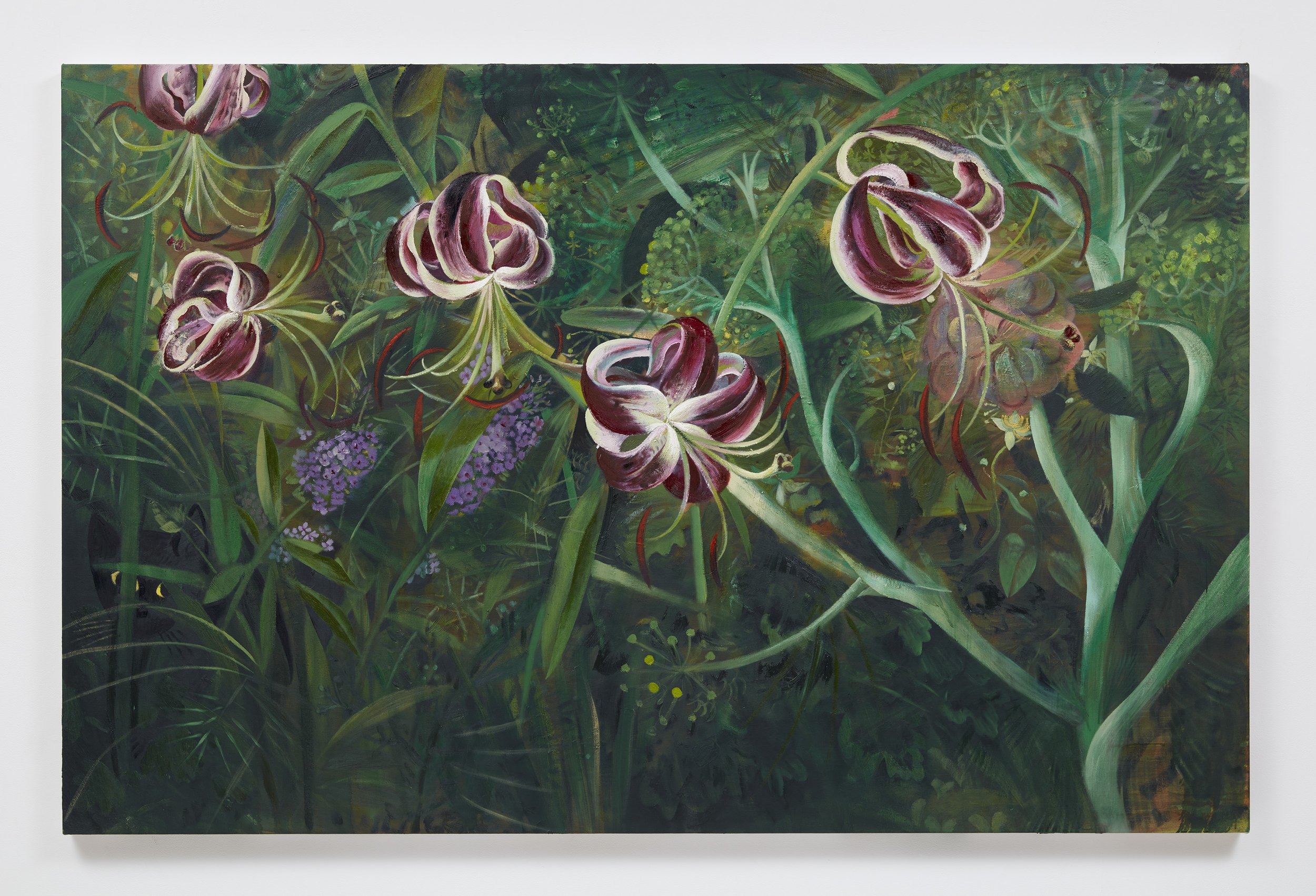 Lilies and fennel, 2023