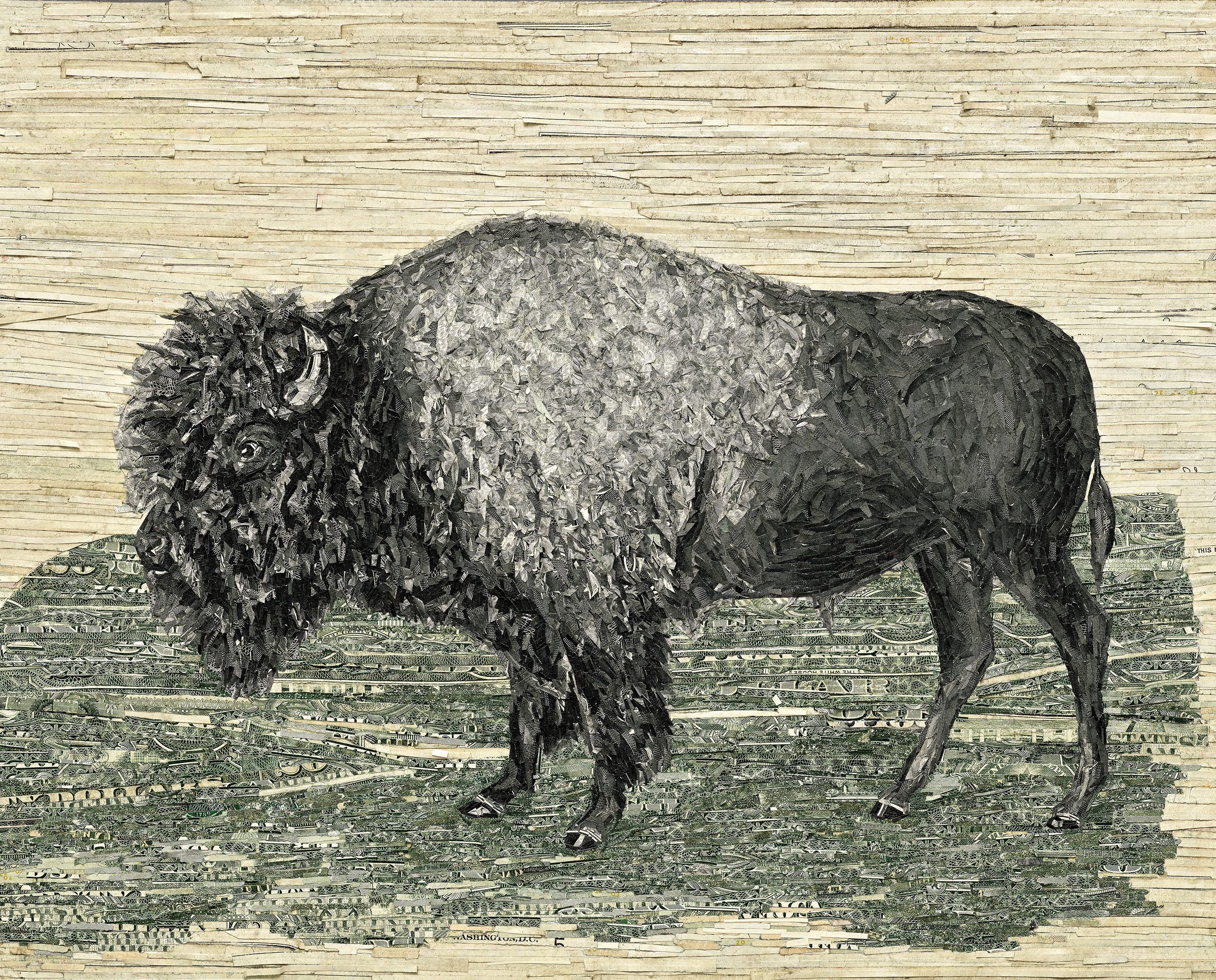 American Bison, after John James Audubon, Legal Tender, 2024
