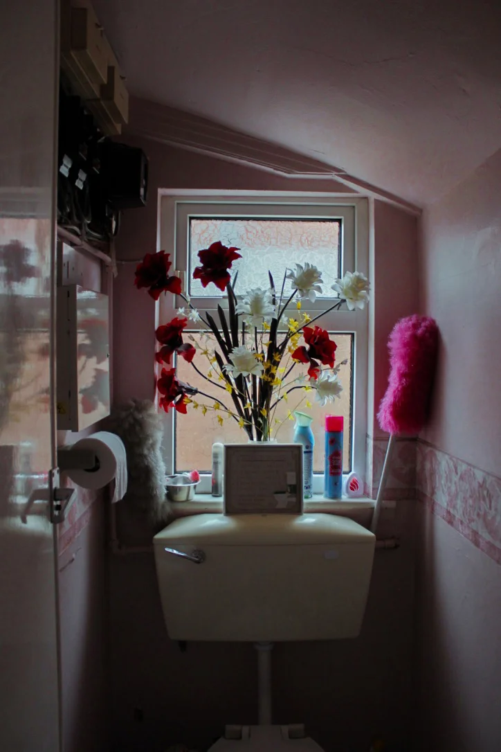 Bathroom in Pink.jpg