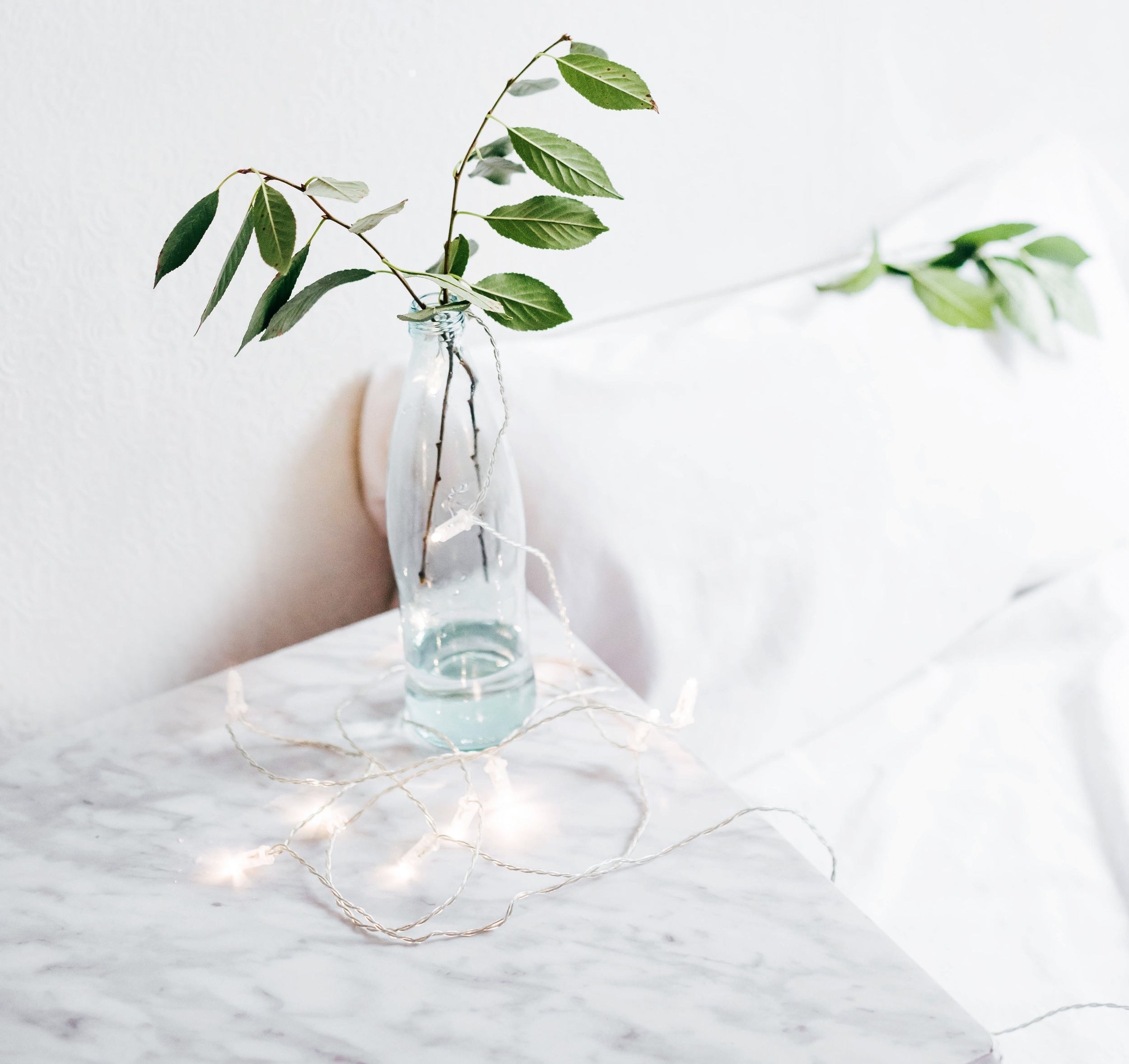 alexandra-gorn-467319-unsplash.jpg