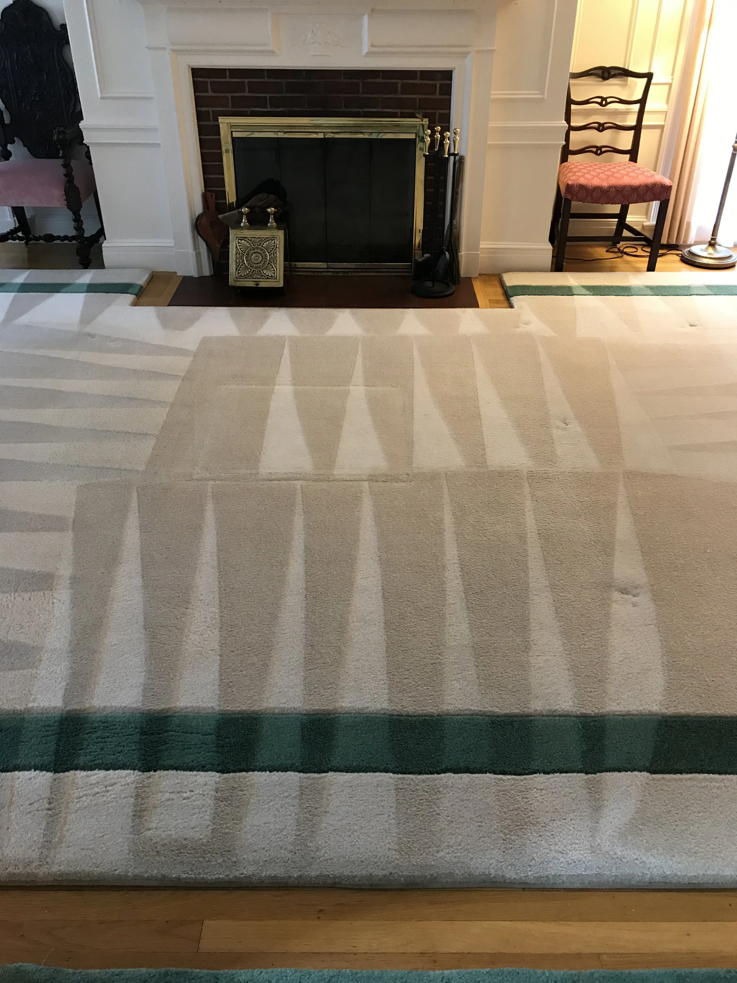 Area Rug Cleaning
