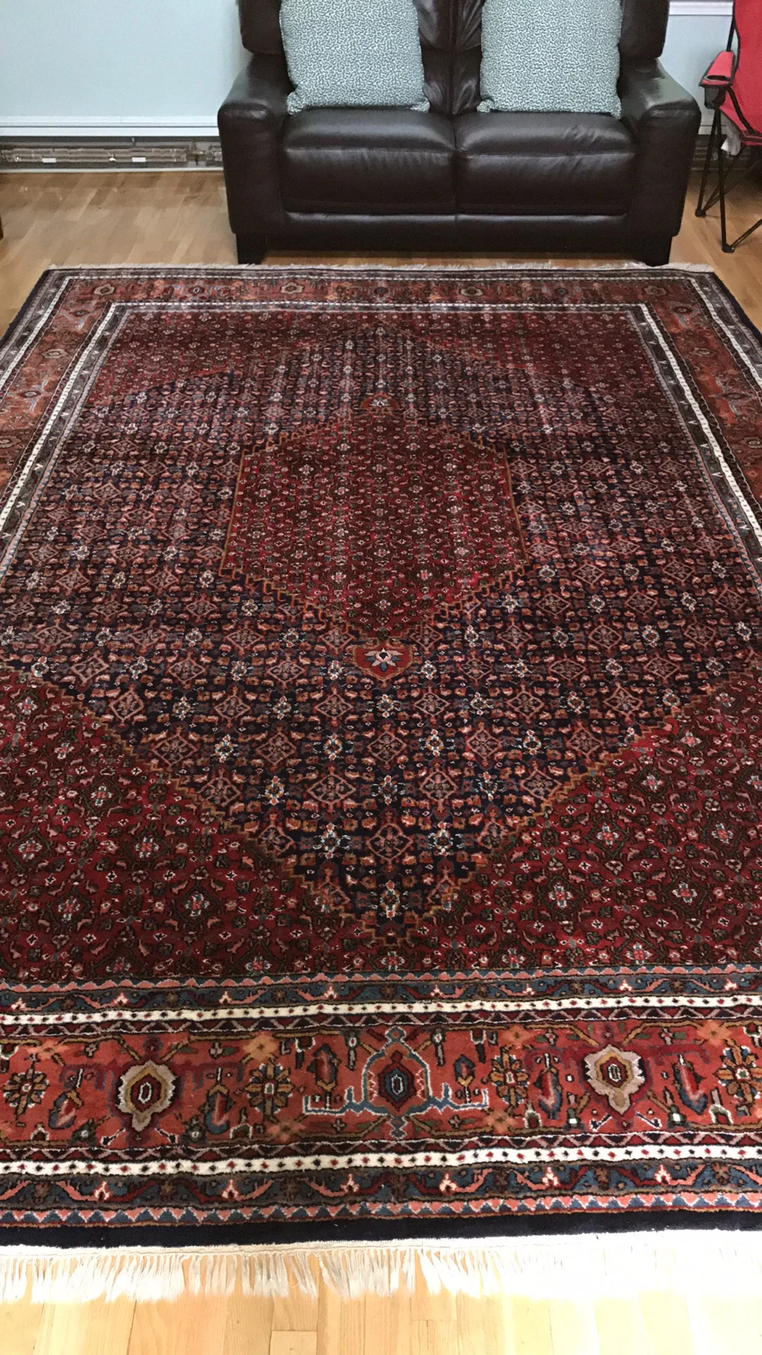 Delicate Area Rug