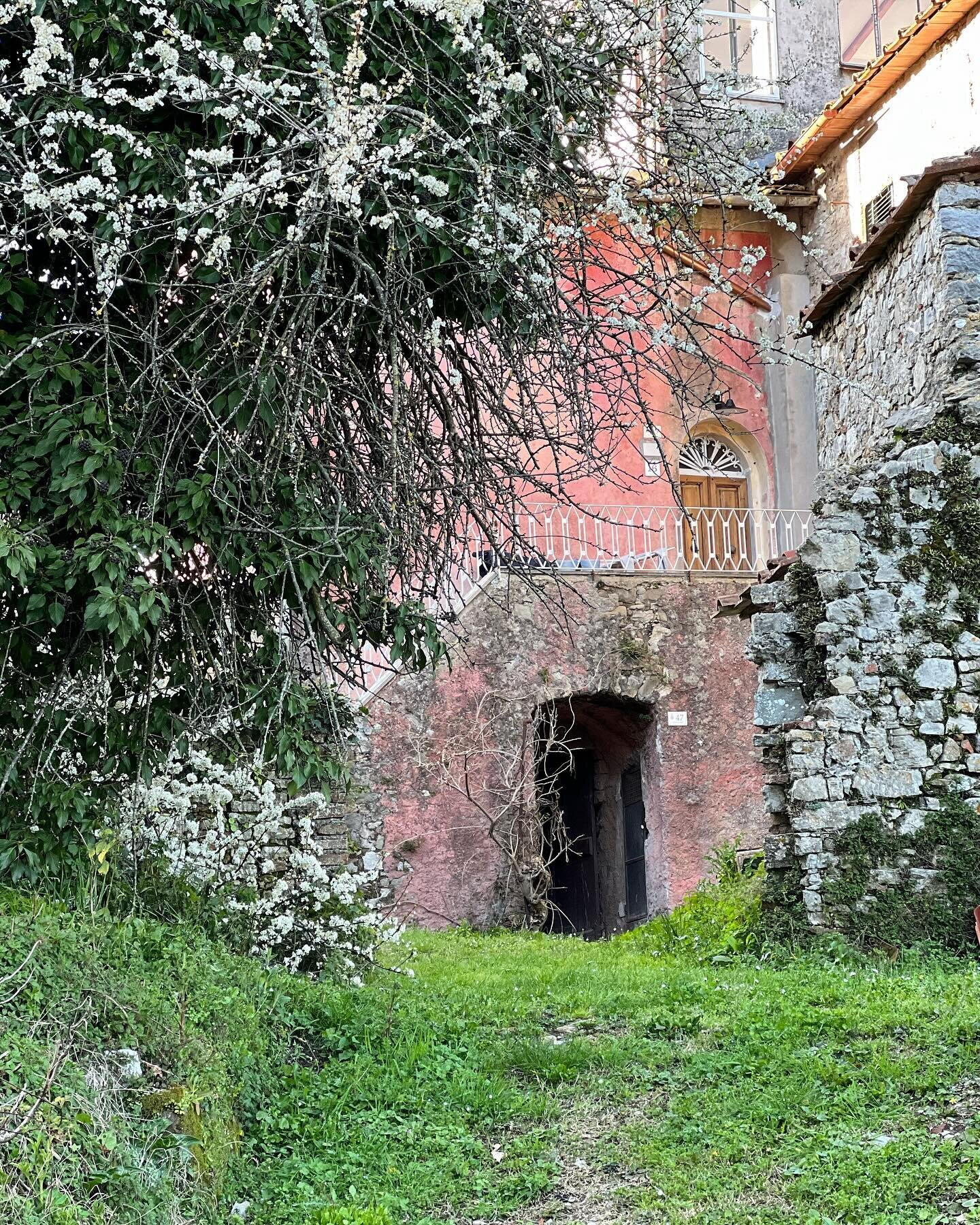 One of the last photos I snapped of Casa Rosa before we departed. Spring has definitely sprung in Italy. Back in CT, not so much, although there are a few crocuses popping up around our yard and we spotted some daffodils on some of the south facing p