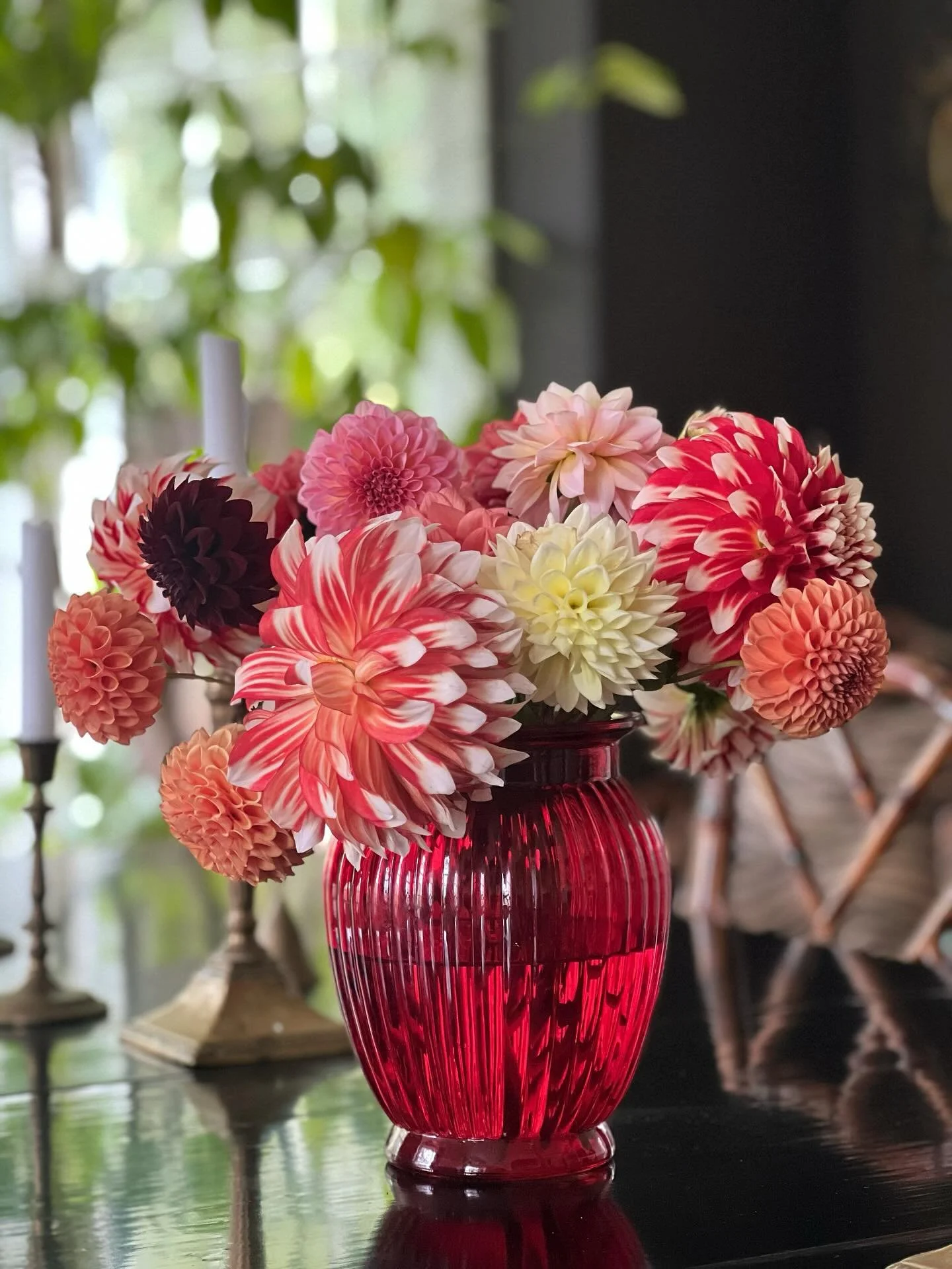 Ok, I totally lied on my last post. It was not the last of my dahlias. But I swear I thought it was! I&rsquo;m calling these (which truly must be the last), the Canadian Thanksgiving Miracle. I really didn&rsquo;t think there would be any left after 