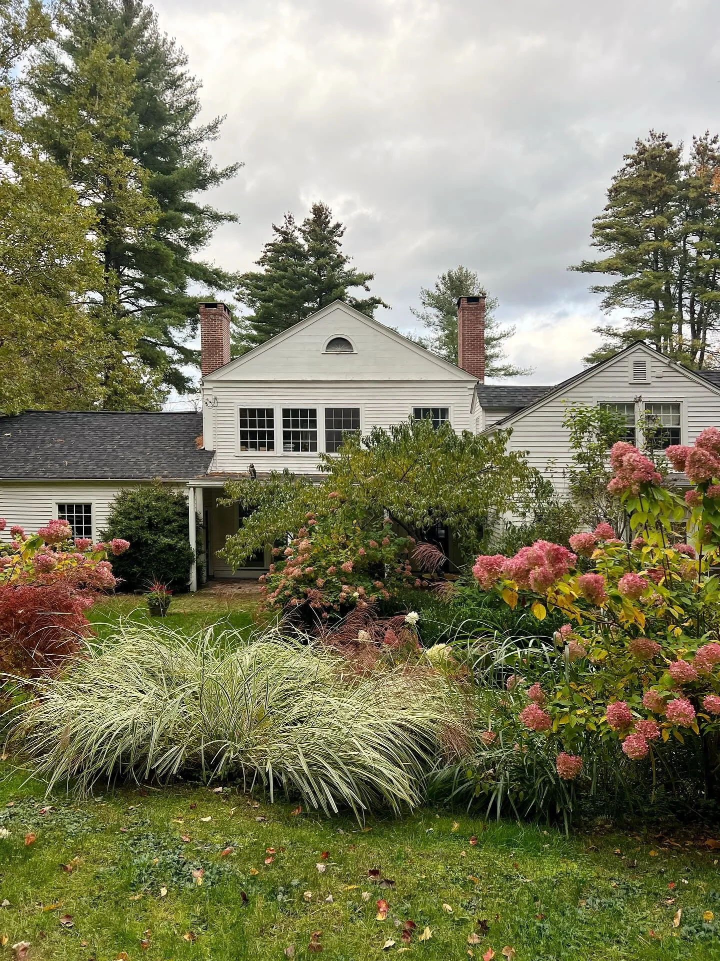 October Sunday 🍂
.
Not once, but twice today our dogs disappeared for a couple of hours up into the woods behind our house. So I spent a good part of the day standing right here yelling for them at the top of my lungs. Both times they eventually rea