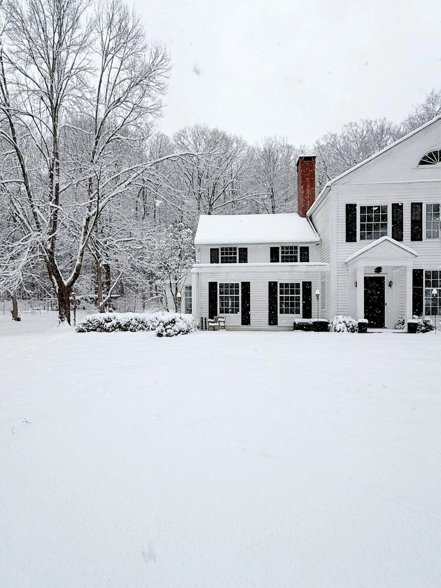 The snowstorm that wasn&rsquo;t on my weather app. 🫤❄️
.
.
.
#snowcovered #winterscenes #wintering #newenglandwinter #newenglandhome