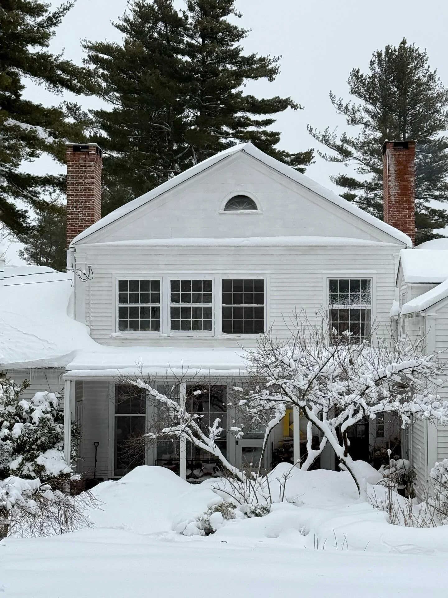 Well hello March. Looks like you&rsquo;re coming in true to your word, like a lion with more snow this morning 🦁. I promise I won&rsquo;t get mad at you, but only if you pinky swear that you&rsquo;ll go out like a lamb 🐑. We&rsquo;ve all had about 