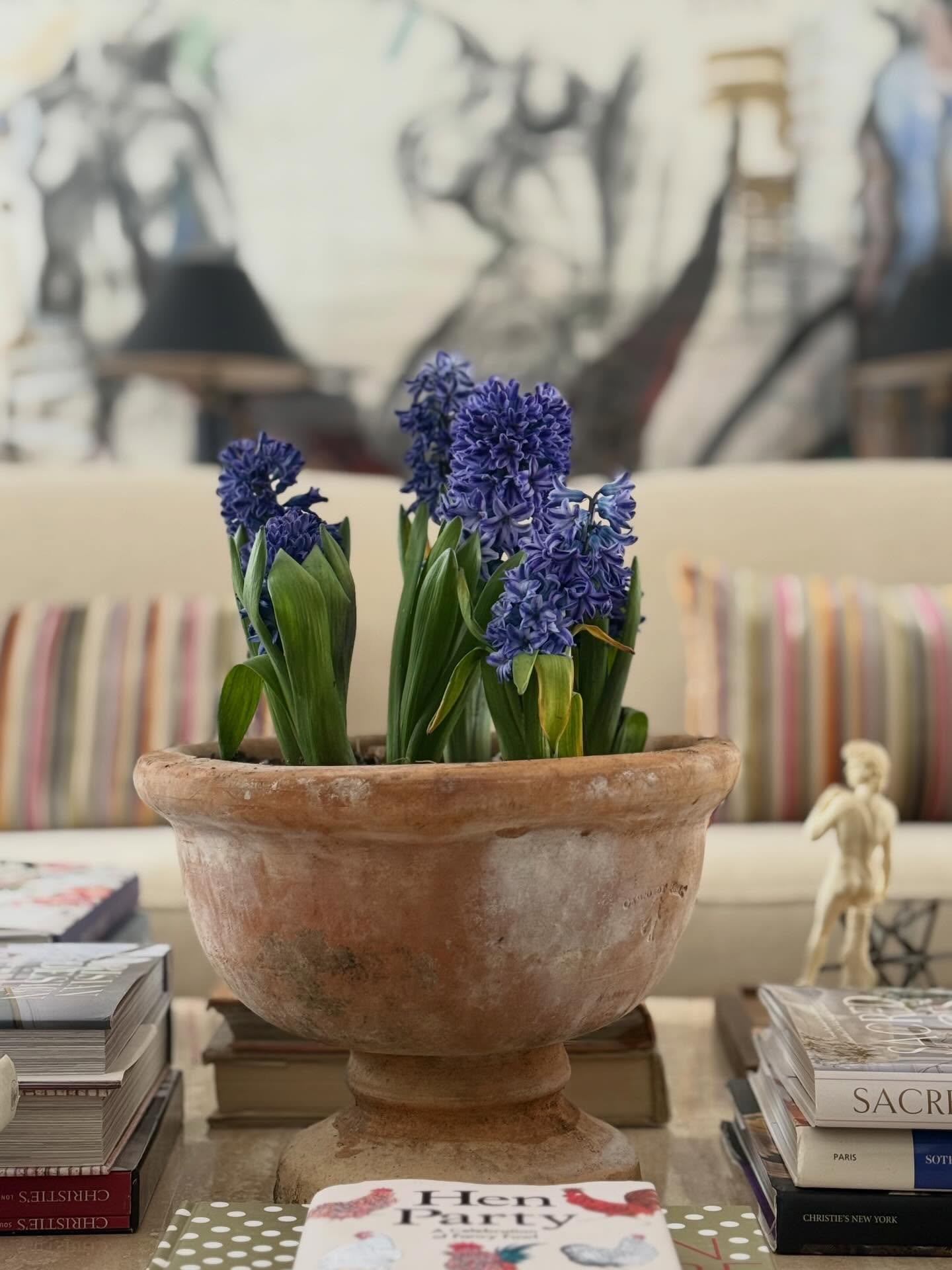Grey sky remedy. But honestly not complaining, we&rsquo;re finally starting to see patches of grass! That&rsquo;s all I&rsquo;m going to say - I don&rsquo;t want to jinx it!🤞 
.
.
.
#hyacinths #coffeetabledecor #flowersalways #livingroominterior #co